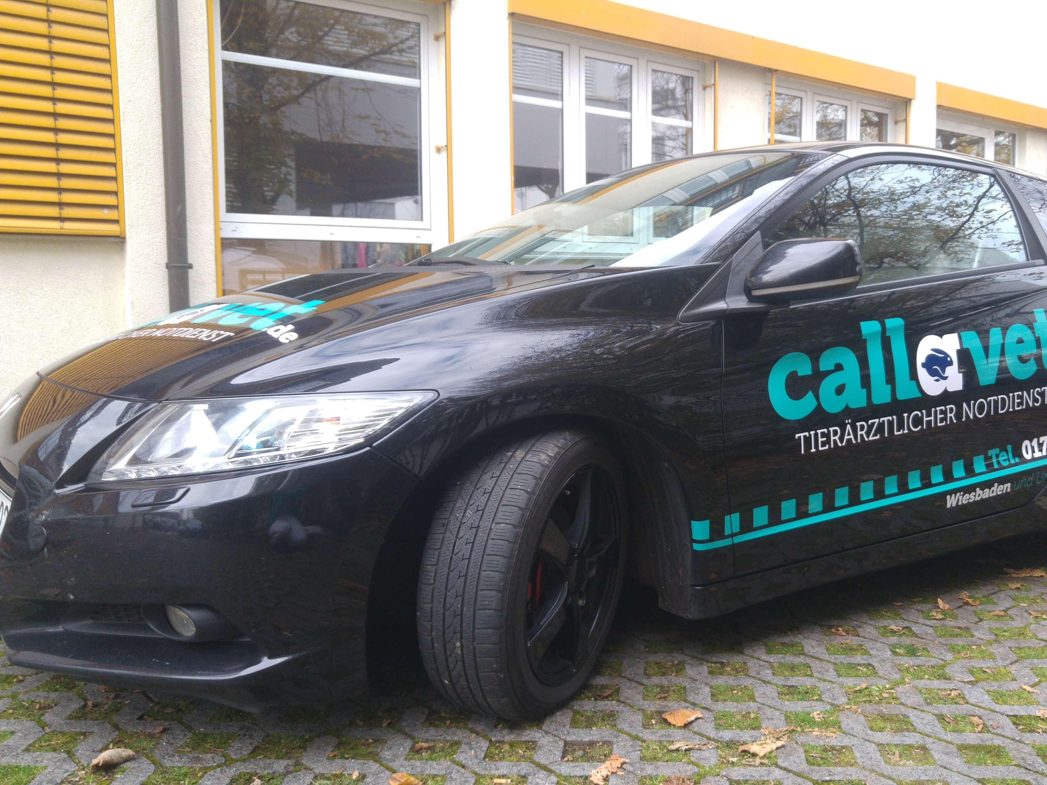 Ansicht 1 von callavet - ihr mobiler Tierarzt (ab 16.06.25 auch mit PraxisrÀumen (nur nach Terminvereinbarung)!