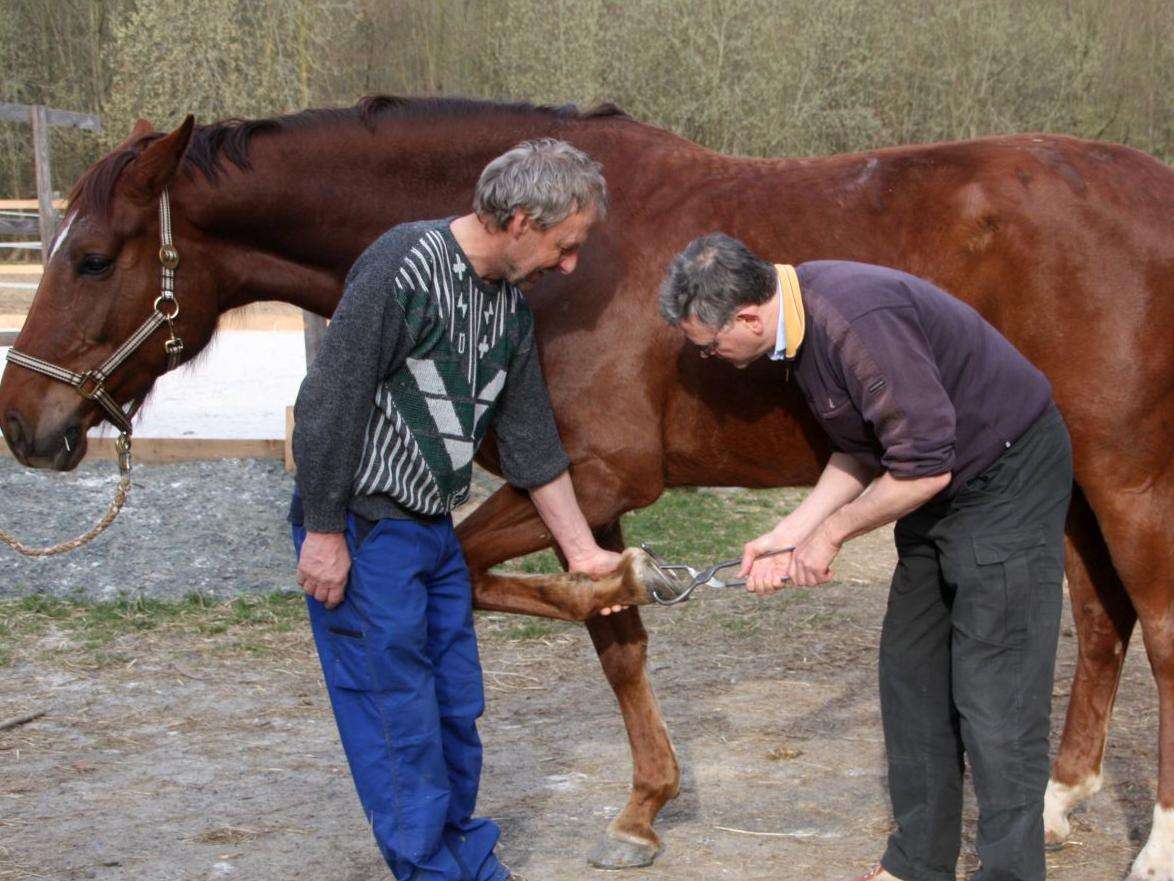 Ansicht 4 von Tierarztpraxis Dr. MuĂmĂ€cher