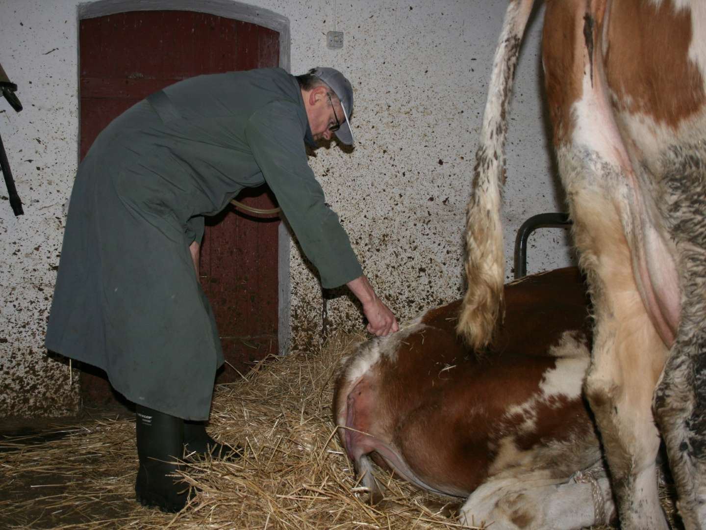 Ansicht 5 von Tierarztpraxis Dr. MuĂmĂ€cher