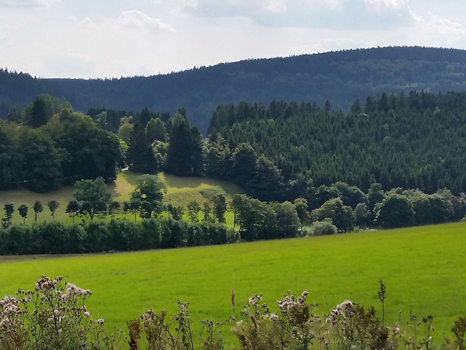 Ansicht 1 von Tierärztliche Praxis für Groß- und Kleintiere Carolin Stolpe