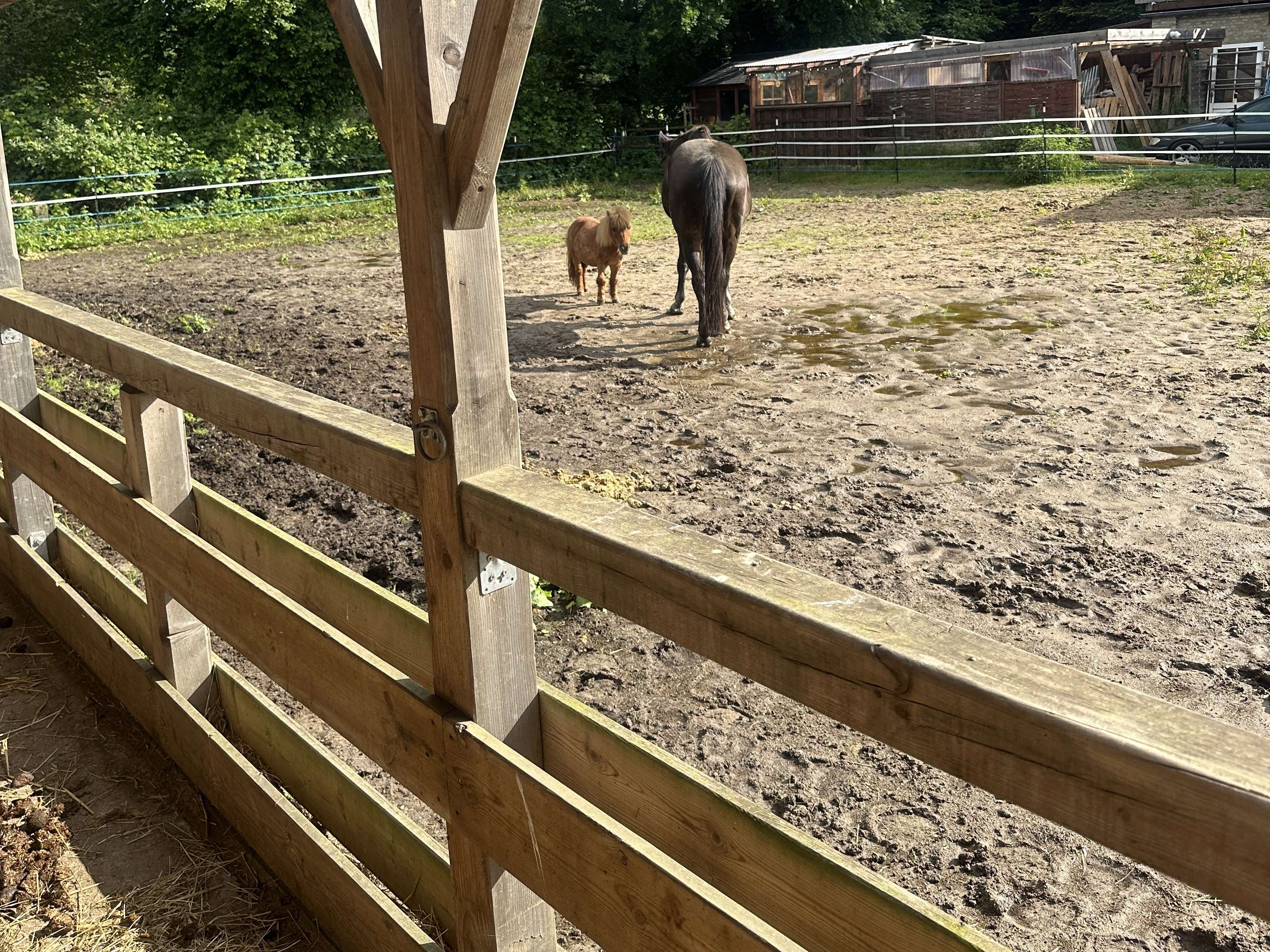 Ansicht 1 von Tierärztliche Praxis für Pferde Gerret Bruhn