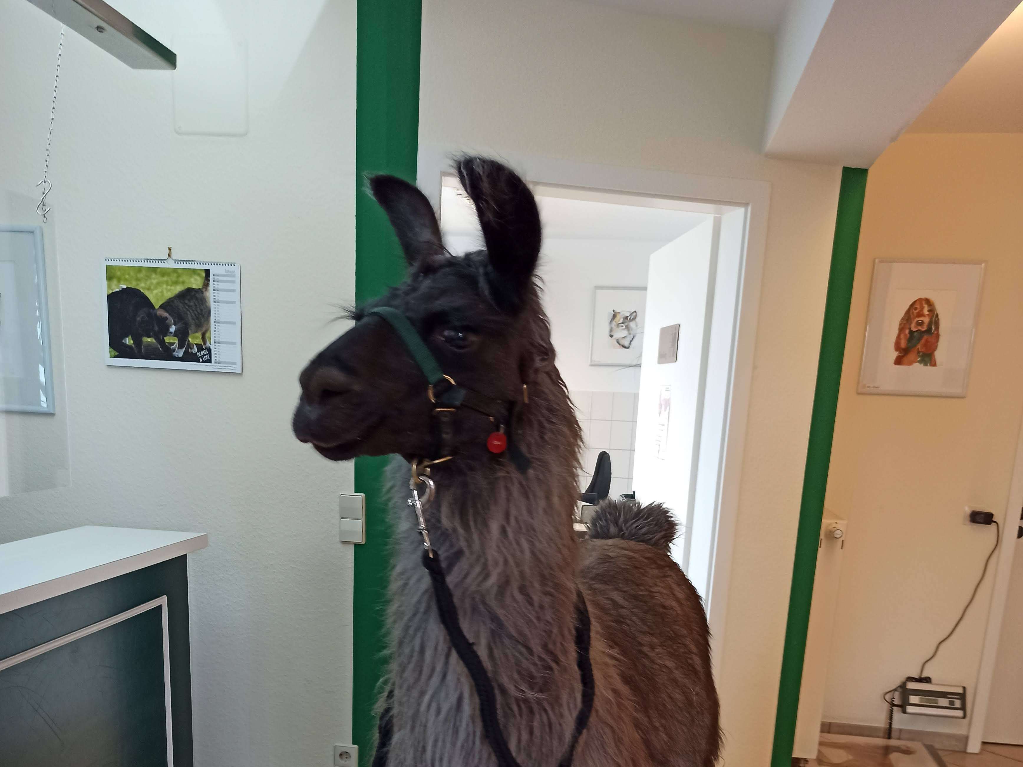 Ansicht 3 von Tierarztpraxis Backnang, Sabrina Hohberg