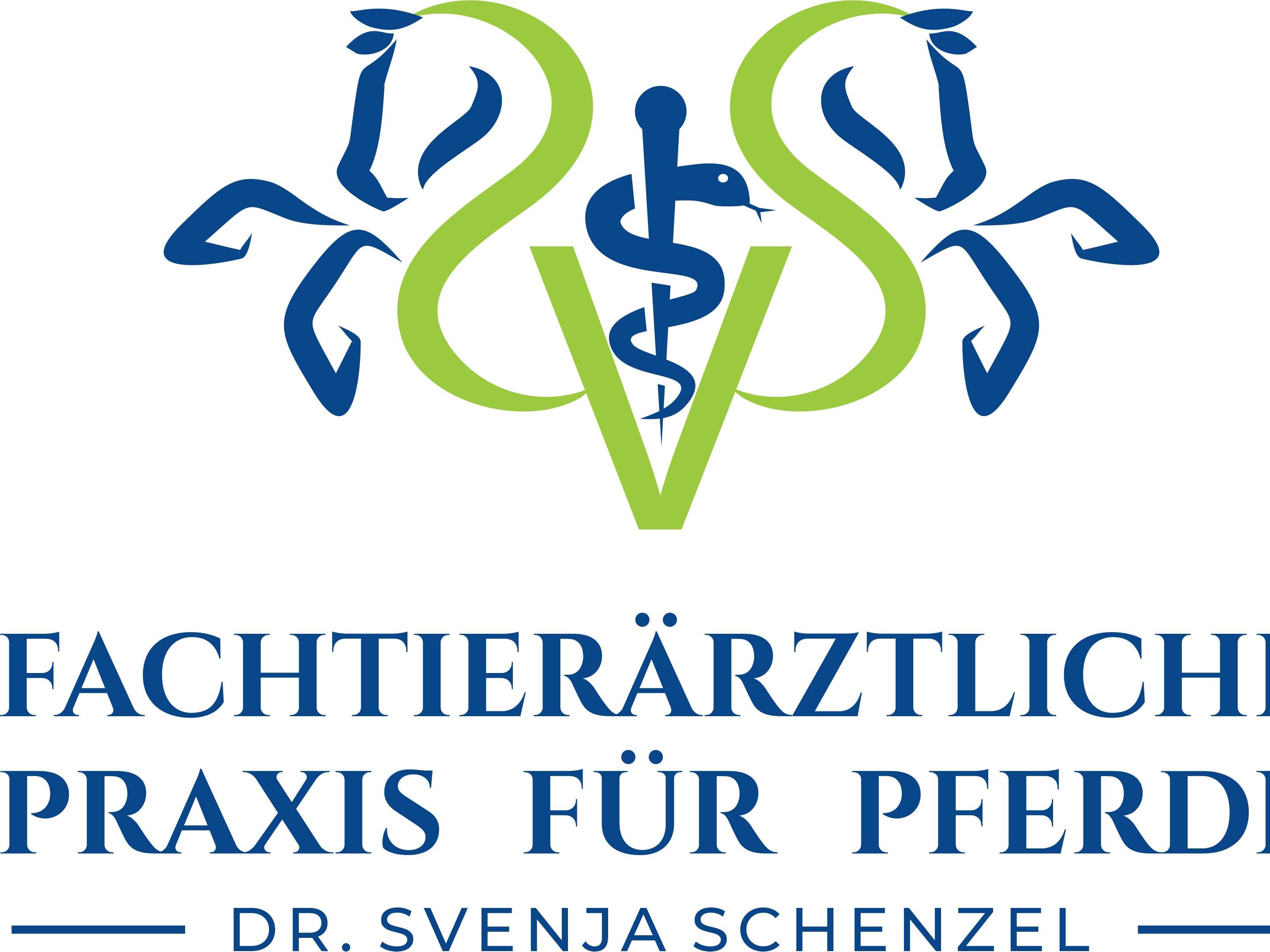 Ansicht 4 von Fachtierärztliche Praxis für Pferde Dr. Schenzel