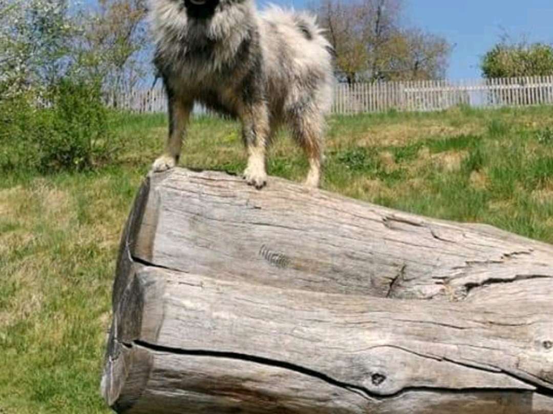 Ansicht 3 von Tierarztpraxis Rupertiwinkel