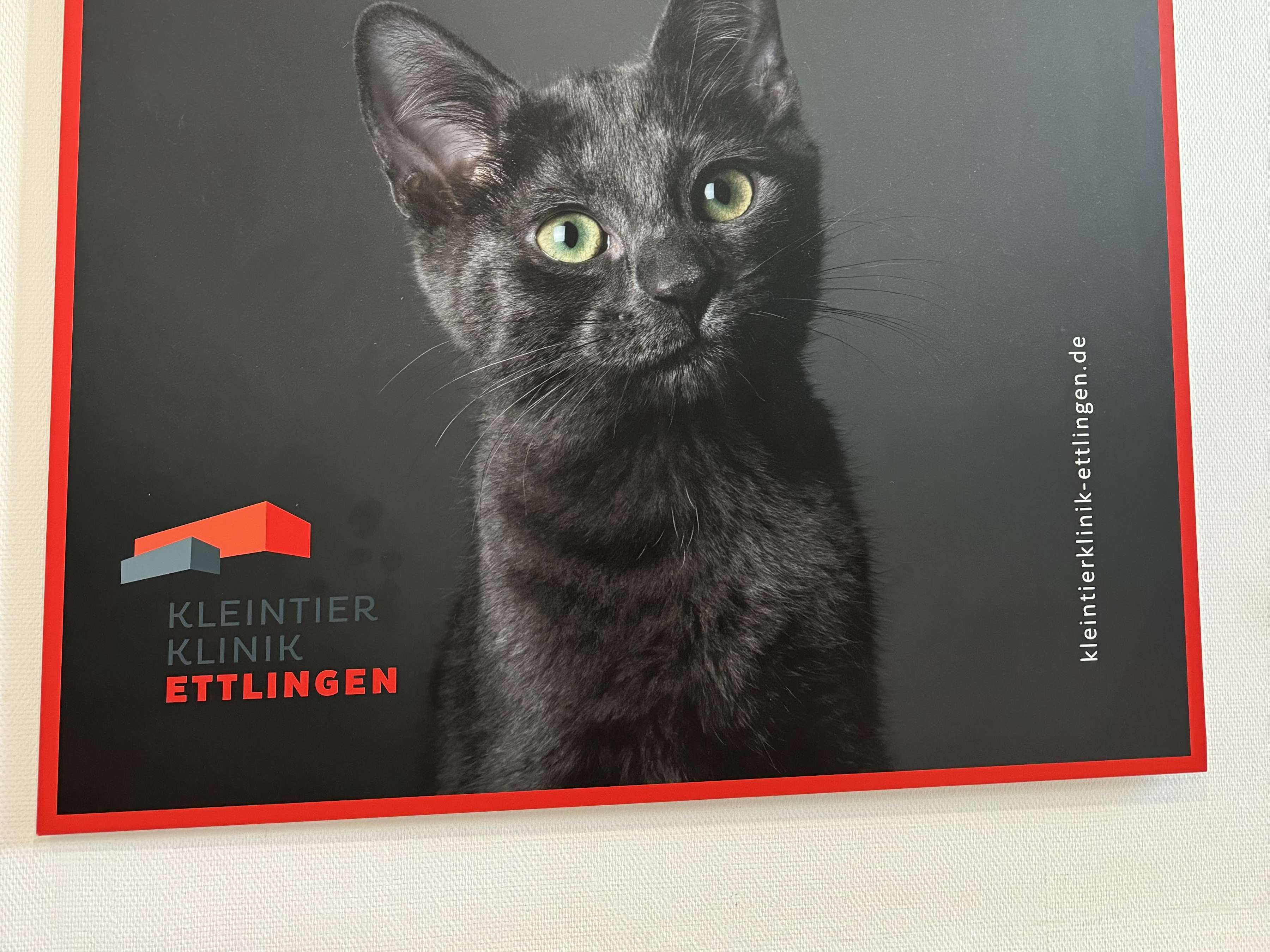 Ansicht 2 von Kleintierklinik Ettlingen, Tierärztliche Klinik für Chirurgie, Praxis für Kleintiere