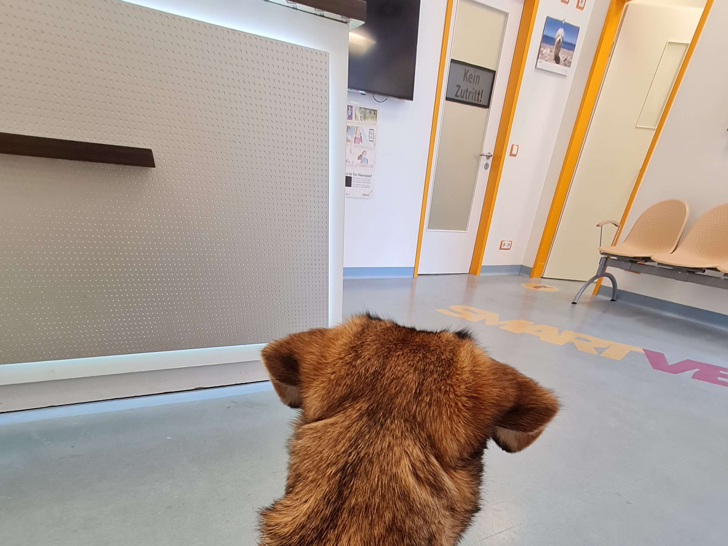 Ansicht 2 von Medivet Tierarztpraxis Sindelfingen