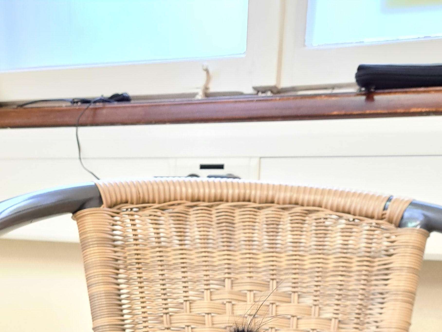 Ansicht 3 von Kleintierzentrum Kinzigtal Dr. Jörg Schäffner