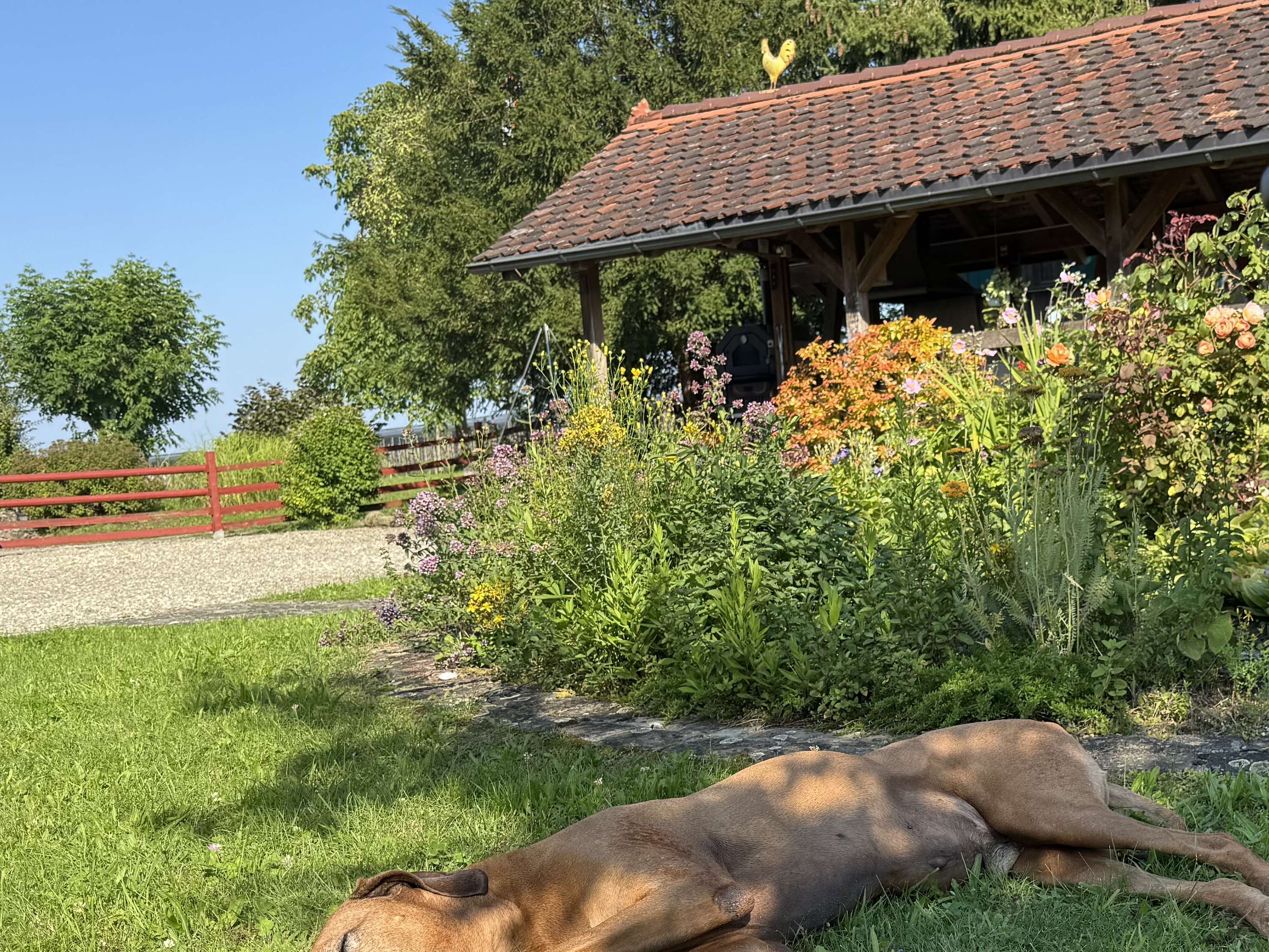 Ansicht 1 von Tierarztpraxis Mascha Beszus