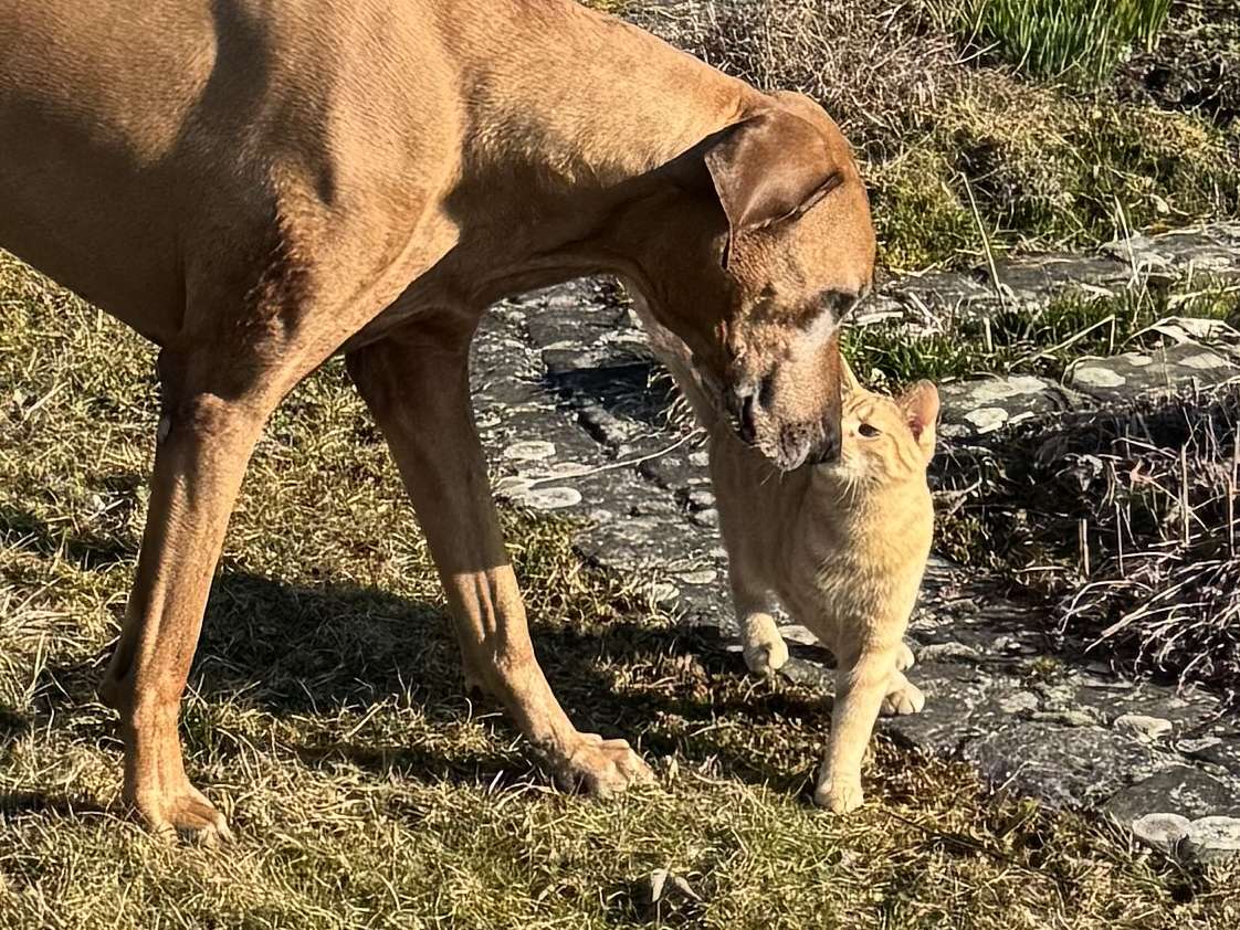 Ansicht 3 von Tierarztpraxis Mascha Beszus
