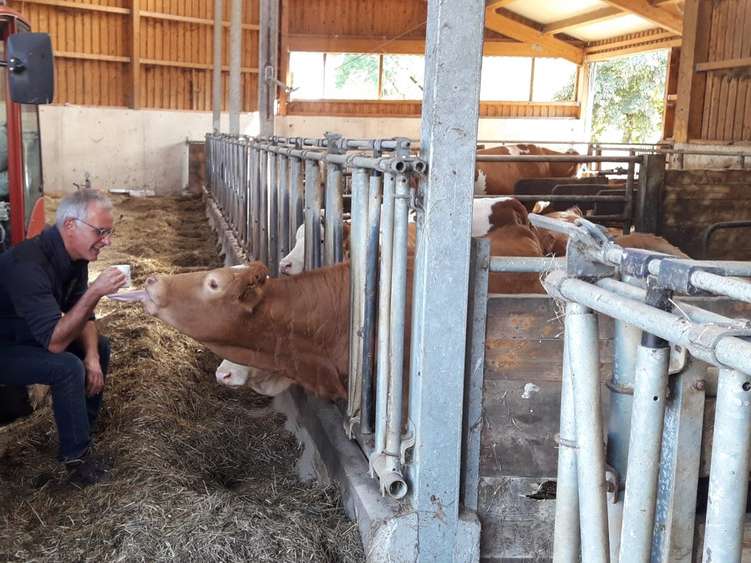 Ansicht 3 von Tierärztezentrum Ostrach Bootz & Partner GbR