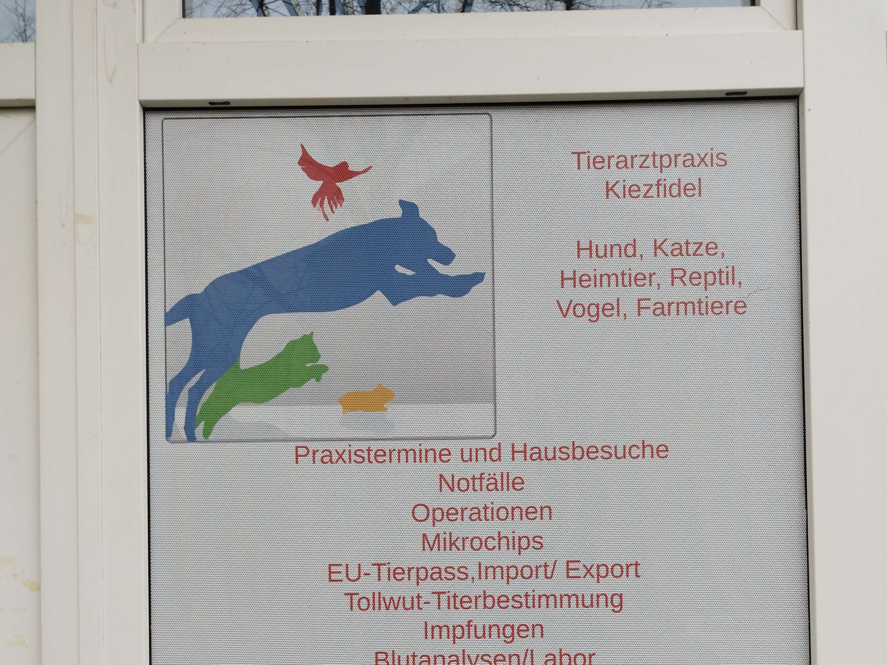 Ansicht 5 von Tierarzt Kiezfidel, Tierärztin