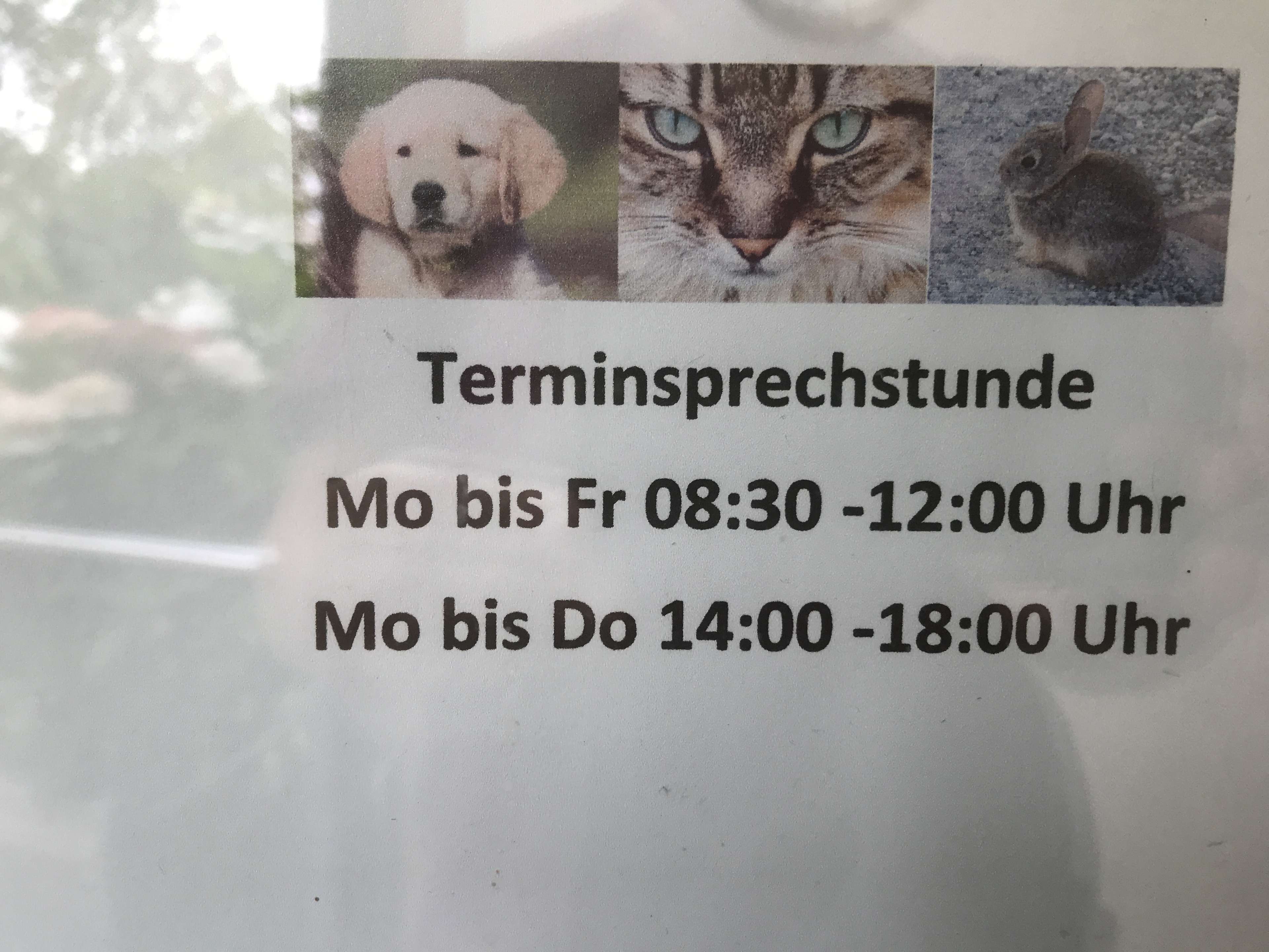 Ansicht 3 von Tierarztpraxis Katrin Freund - Akupunktur & Craniosacrale Osteopathie für Tiere- Schamanische Begleitung für Mensch & Tier