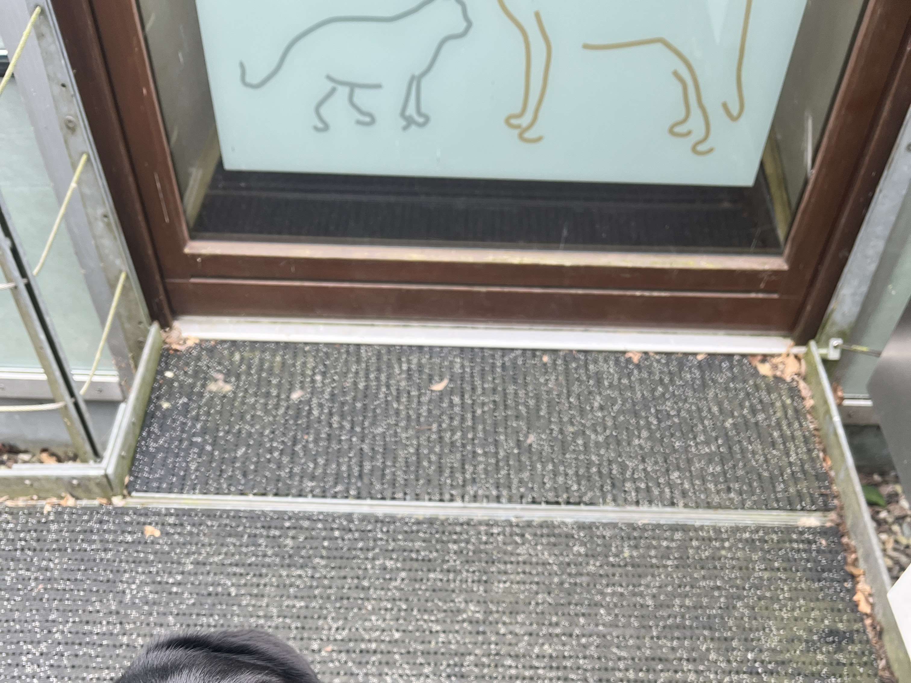 Ansicht 4 von Tierarztpraxis Katrin Freund - Akupunktur & Craniosacrale Osteopathie für Tiere- Schamanische Begleitung für Mensch & Tier