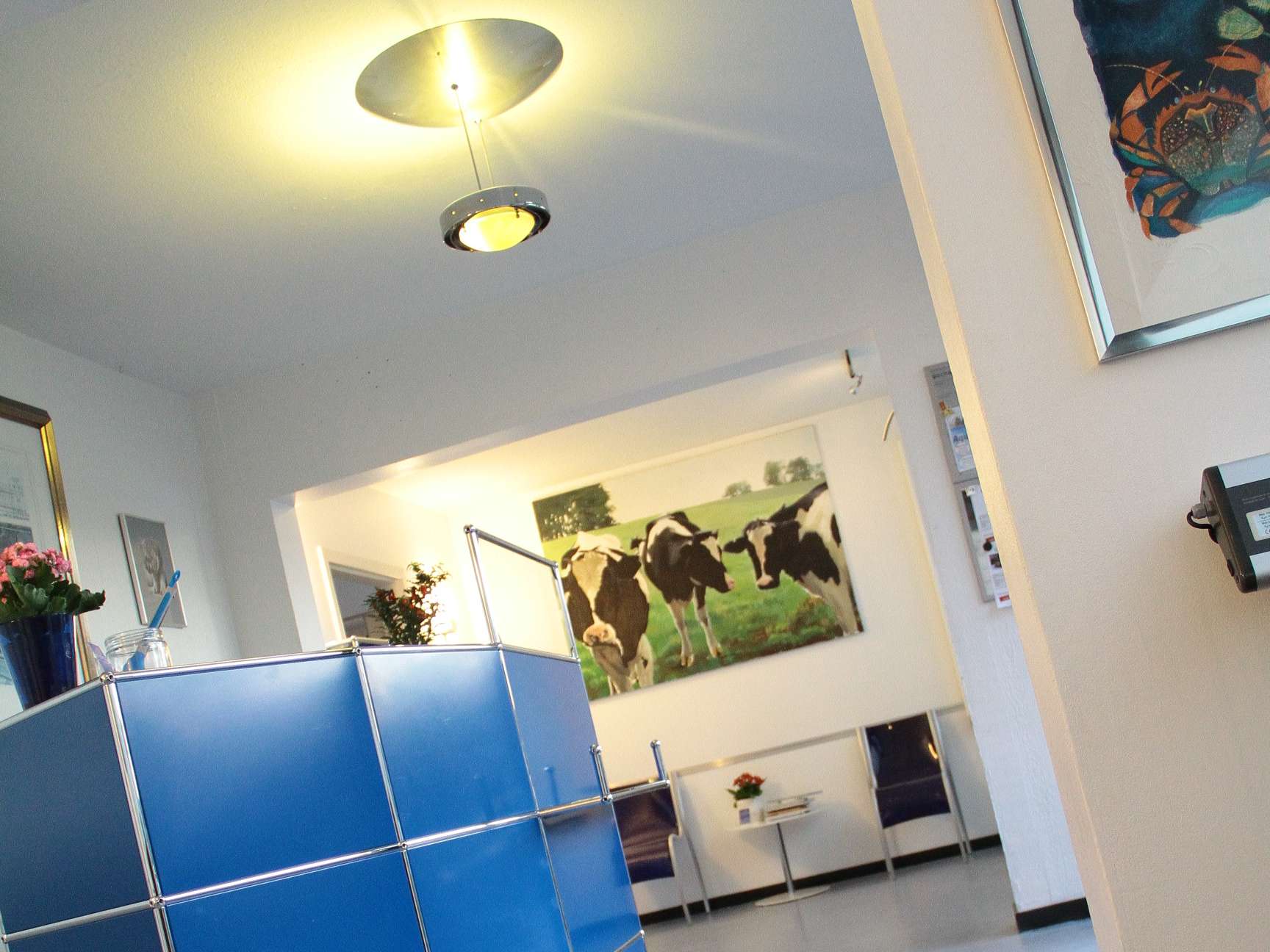 Ansicht 2 von Dr.med.vet. Daryoush Sami, Tierarzt