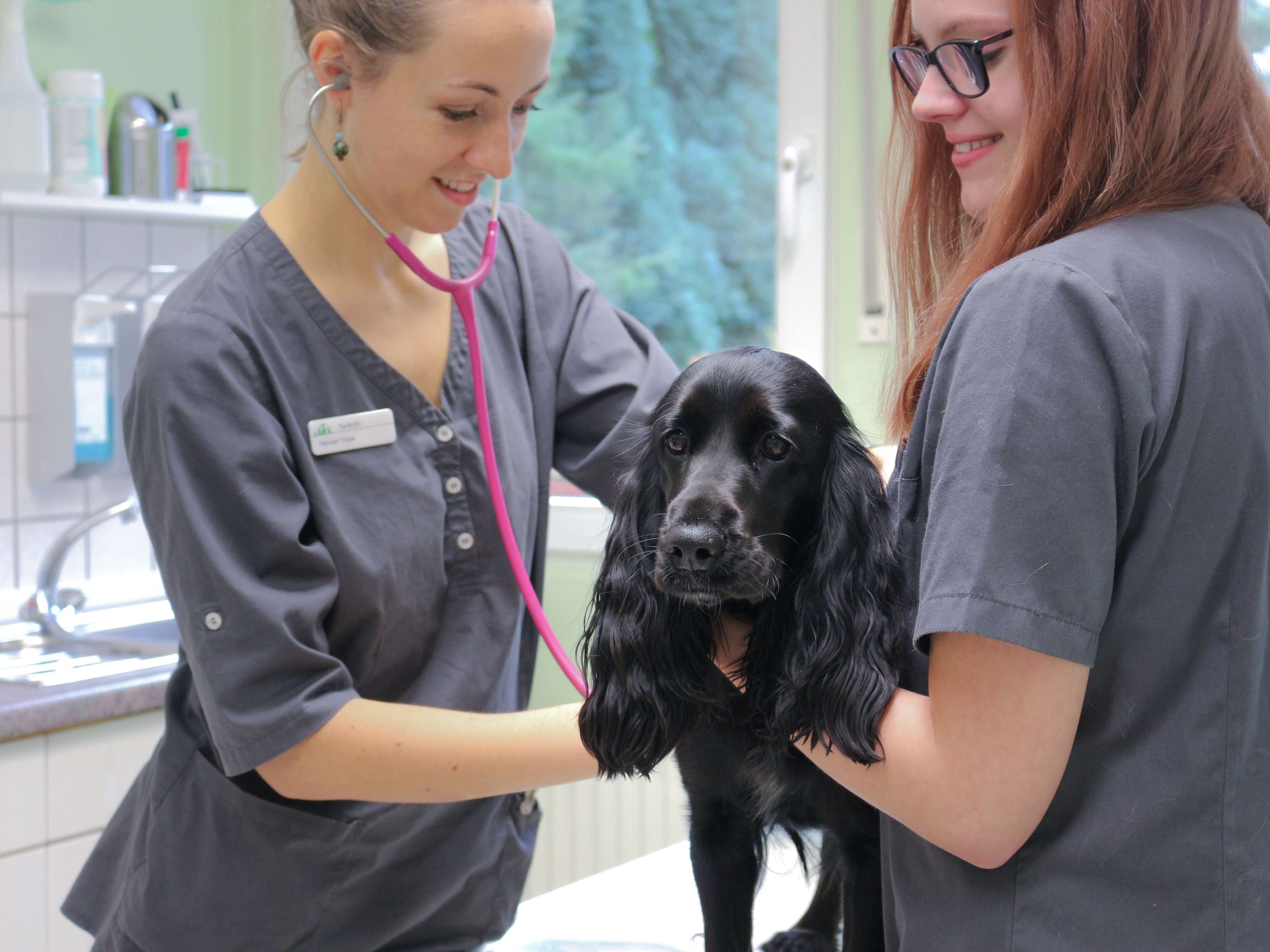 Ansicht 4 von Tierarzt Essen GmbH - Dr. Annette Baltes - Tierärztin