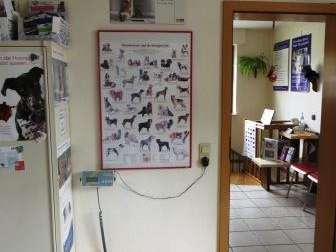 Ansicht 5 von Dr.med.vet. Elke Deus Tierärztin