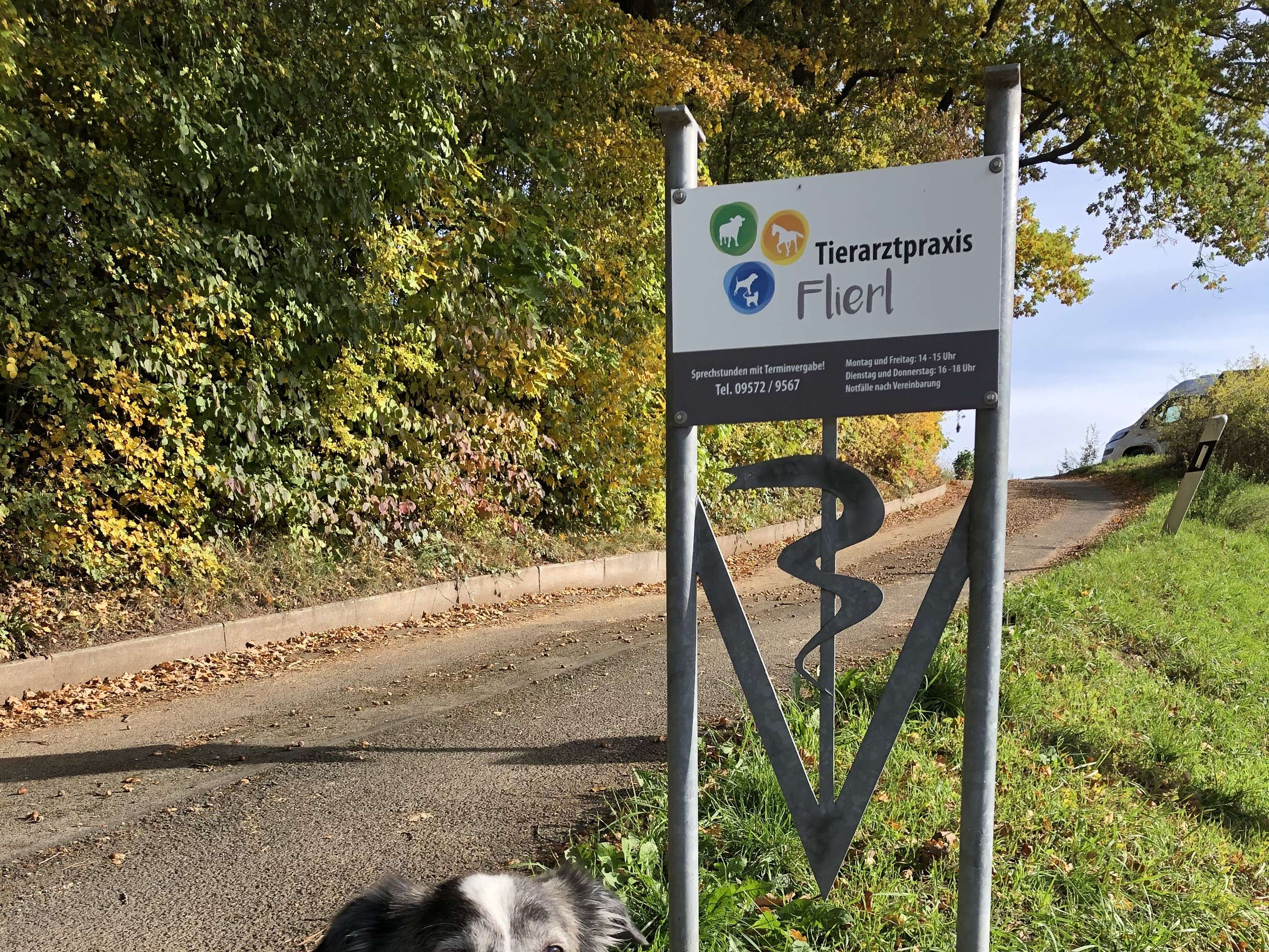 Ansicht 1 von Tierarztpraxis Flierl