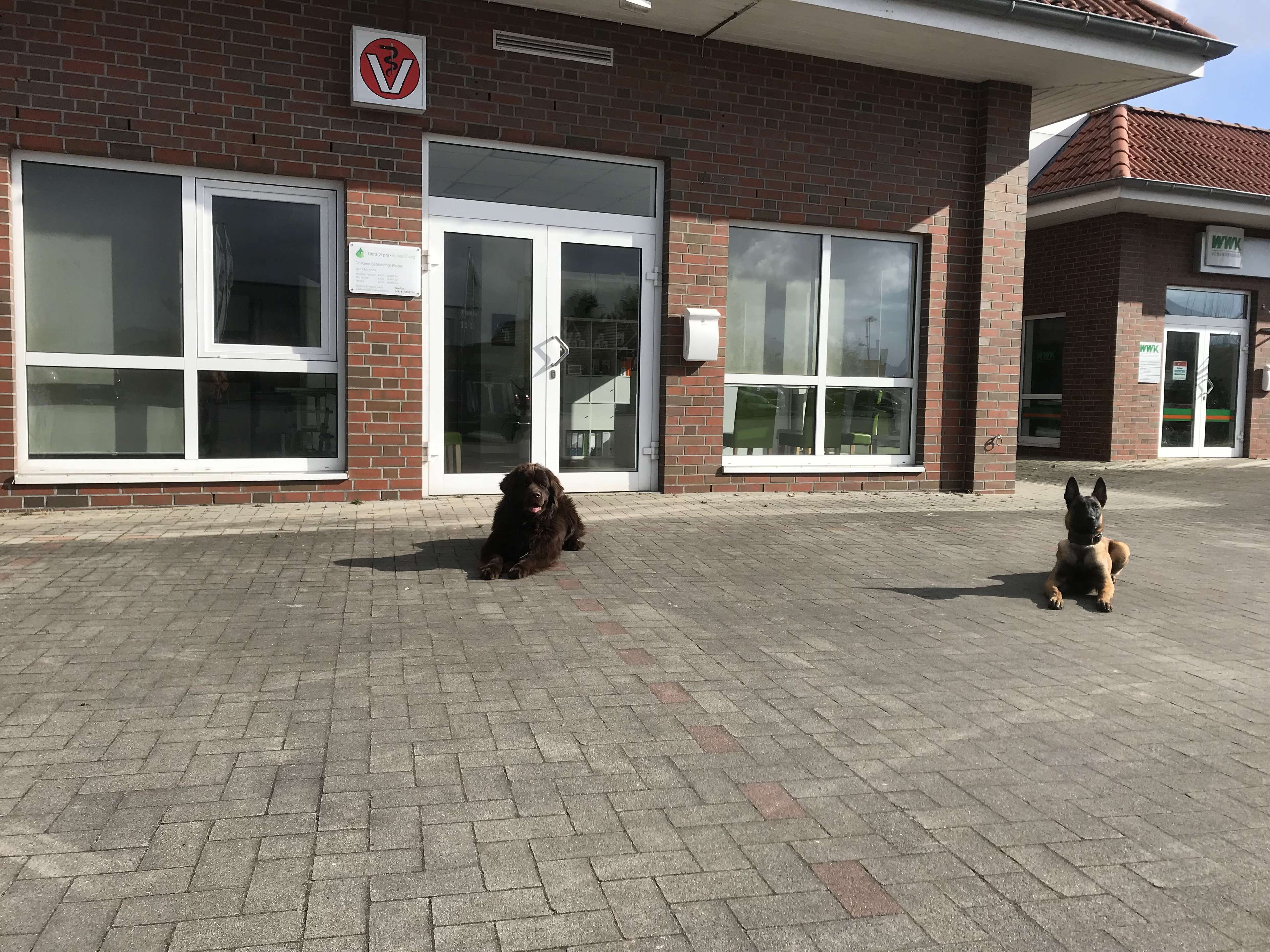 Ansicht 1 von Tierarztpraxis Jaderberg