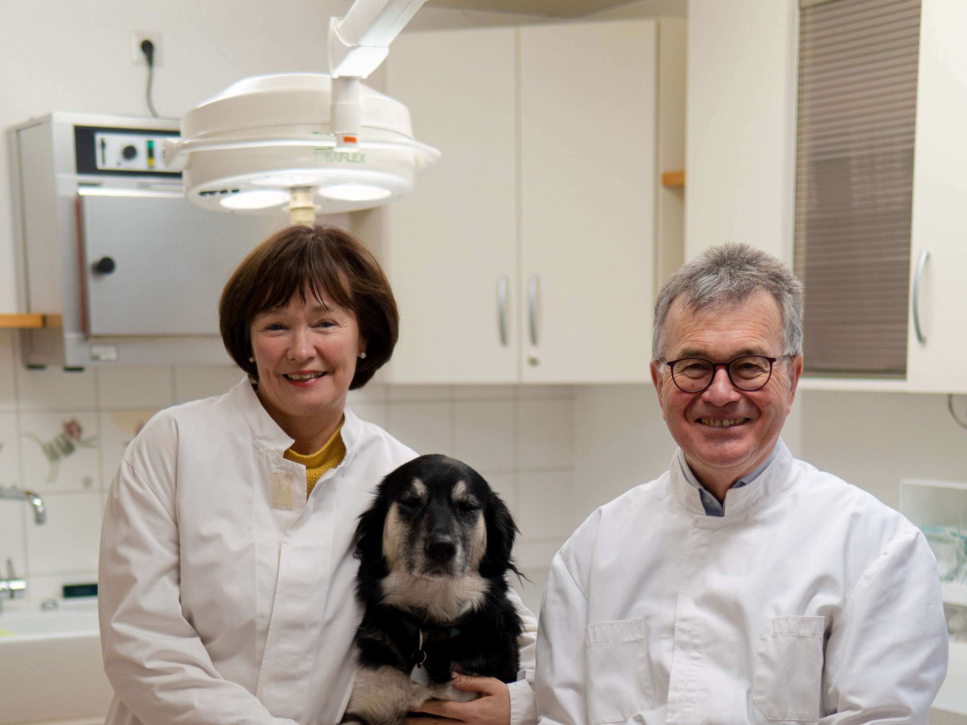 Ansicht 3 von Dr.med.vet. Ulrich Meier Tierarzt
