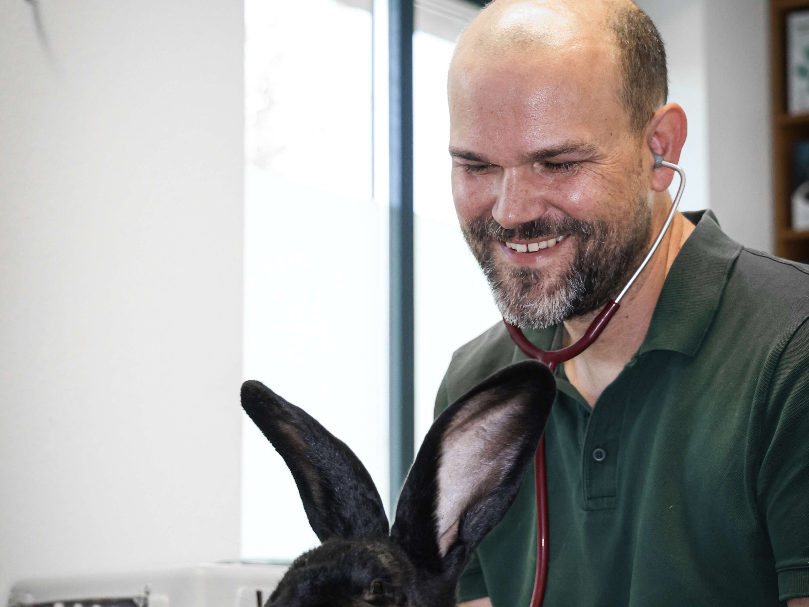 Ansicht 5 von Tierärztliche Praxis für Kleintiere Tim Buhre