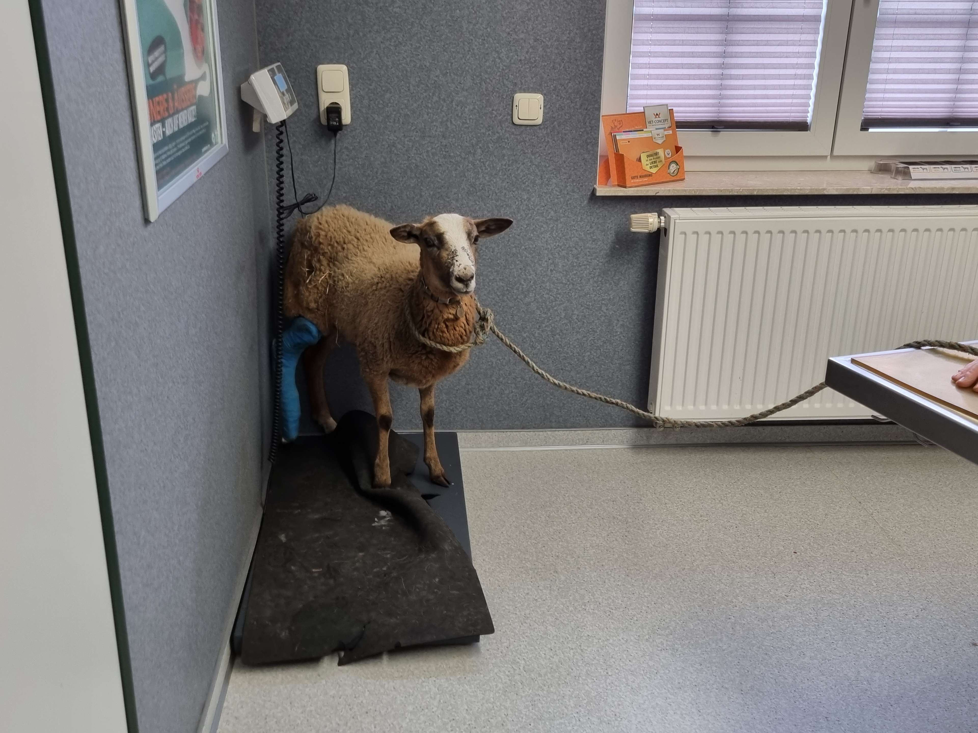 Ansicht 2 von Tierärztliche Praxis Frank Liebaug
