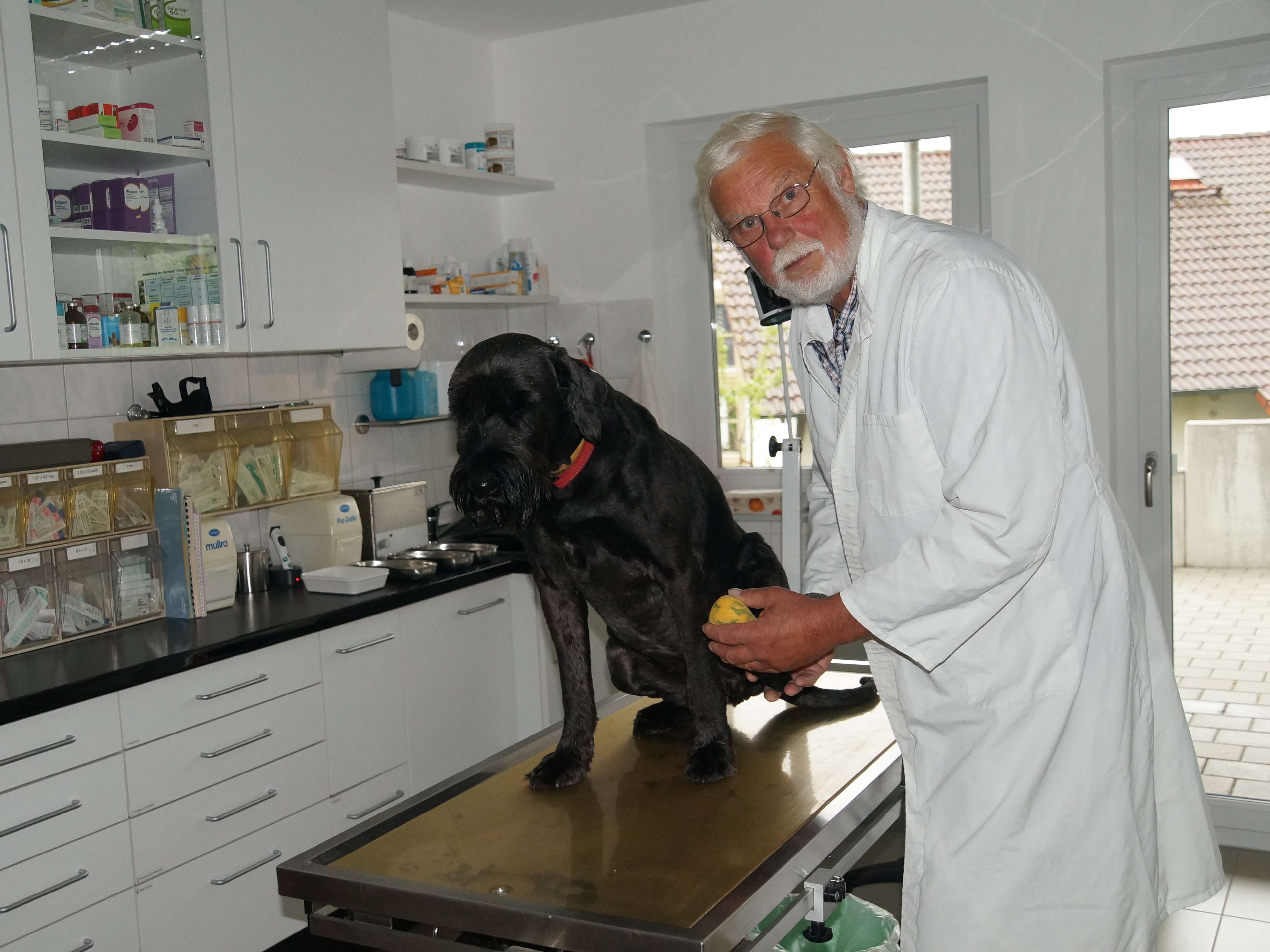 View 1 of Dr. Dirk Lellbach, prakt. Tierarzt