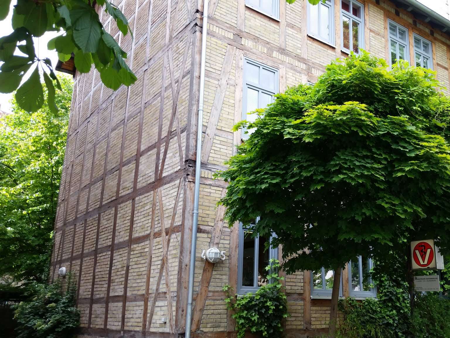 Ansicht 5 von Tierarztpraxis Kastanienallee