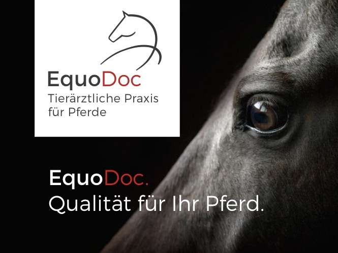 Ansicht 1 von EquoDoc-Tierärztliche Praxis für Pferde in Wolfenbüttel, Braunschweig, Salzgitter