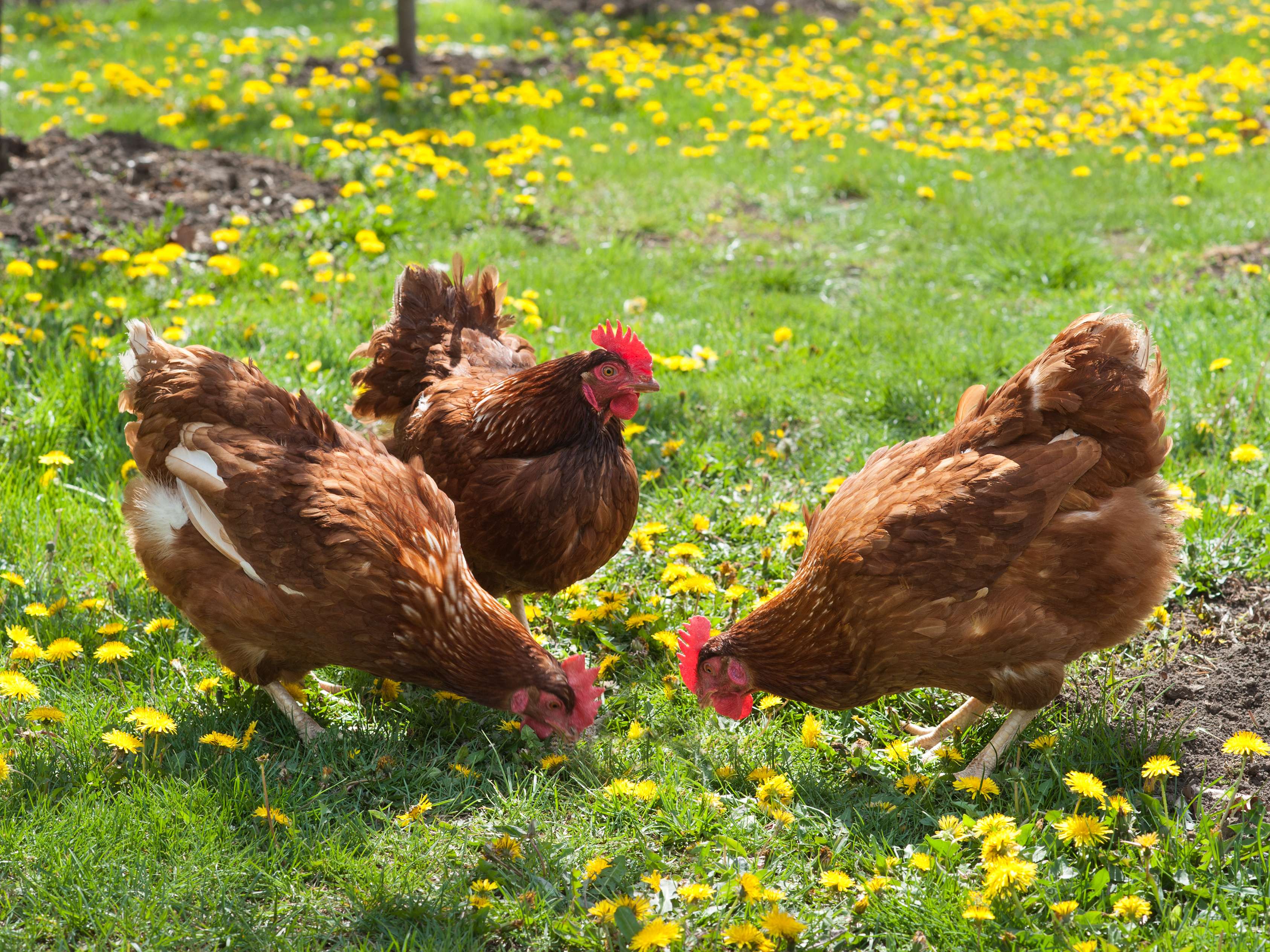 Ansicht 5 von Tierarztpraxis Kümmel und Lucke