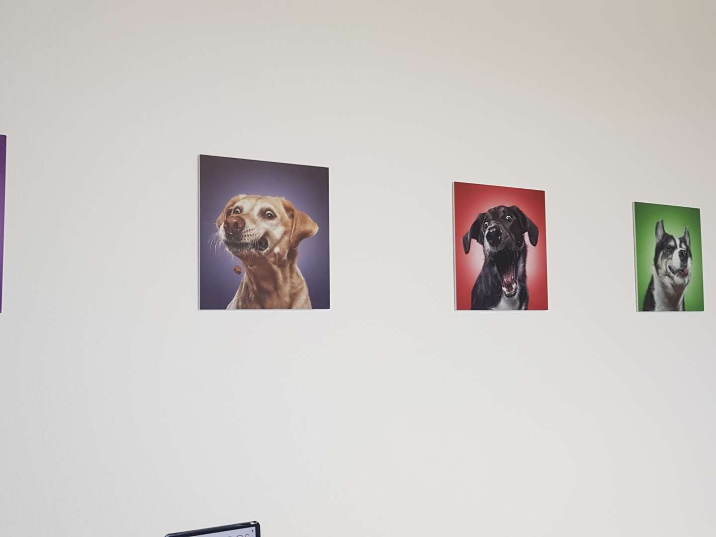 Ansicht 3 von Die Tiernotdienst Praxis Mülheim