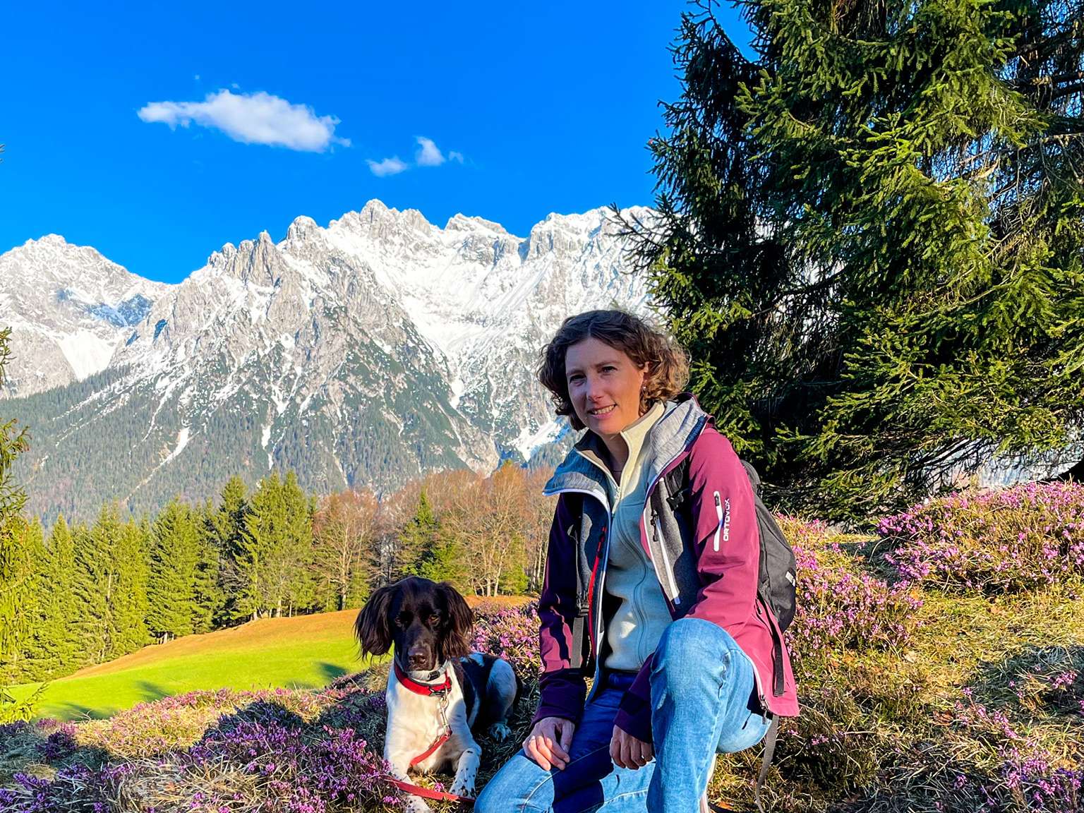 Ansicht 1 von Mobile Tierarztpraxis Dr. med. vet. Julia Stockklausner