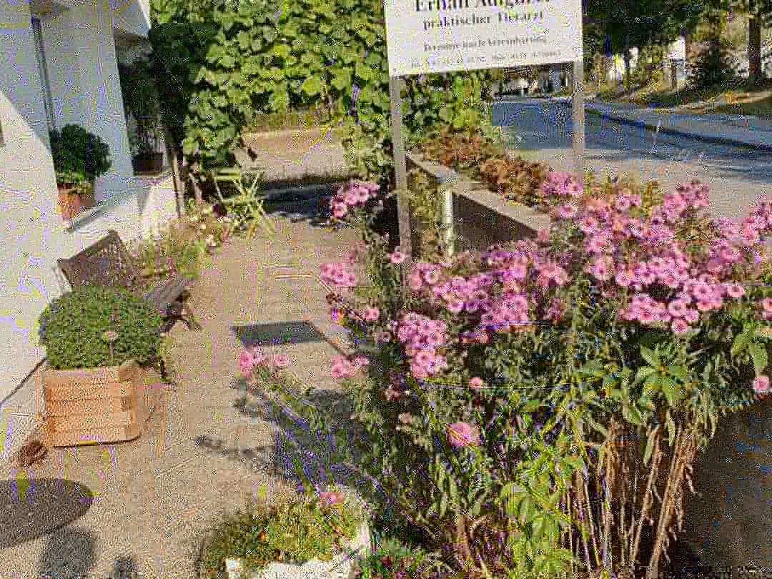 Ansicht 4 von Tierarztpraxis Adigüzel