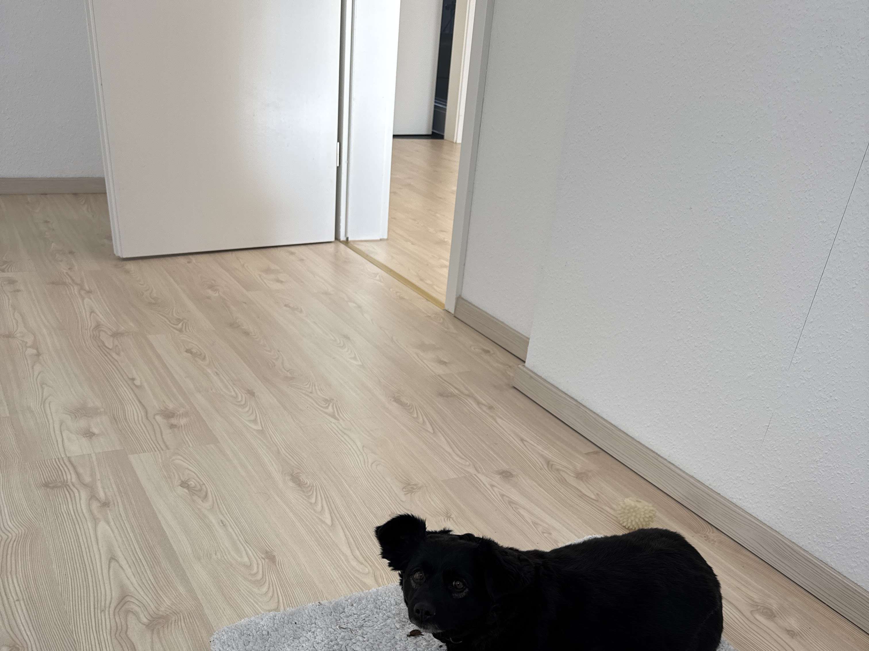 Ansicht 1 von Dr. med. vet. Joachim Kirchner