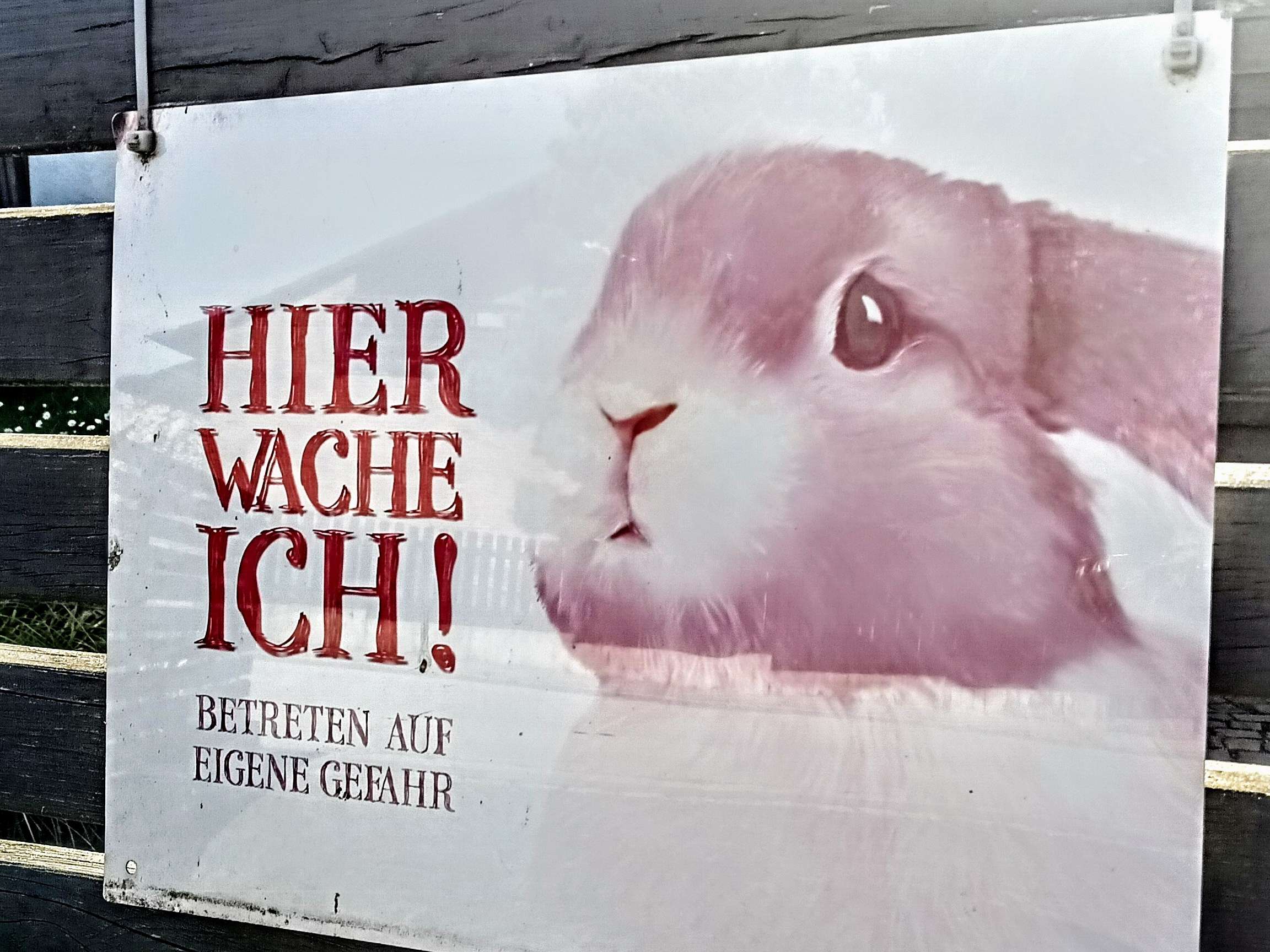 Ansicht 3 von Dr.med.vet. Wiggo Grussler Tierarzt