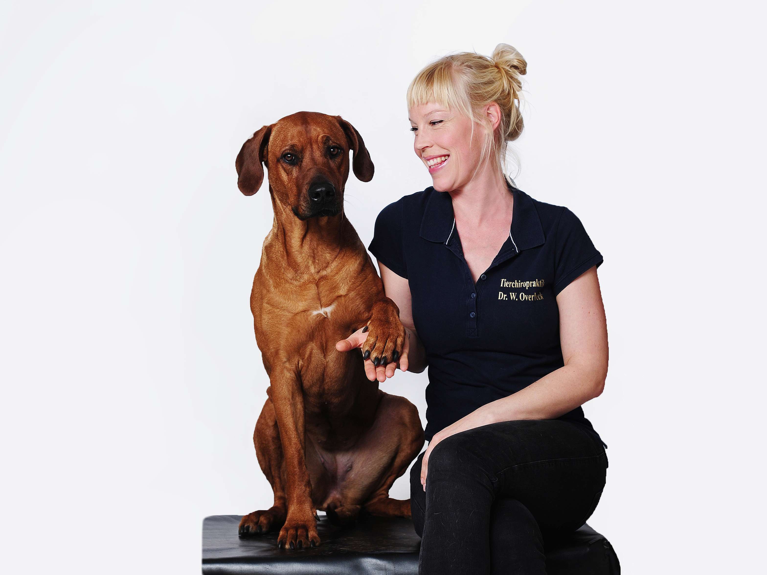 Ansicht 5 von Tierärztliche Praxis für Chiropraktik