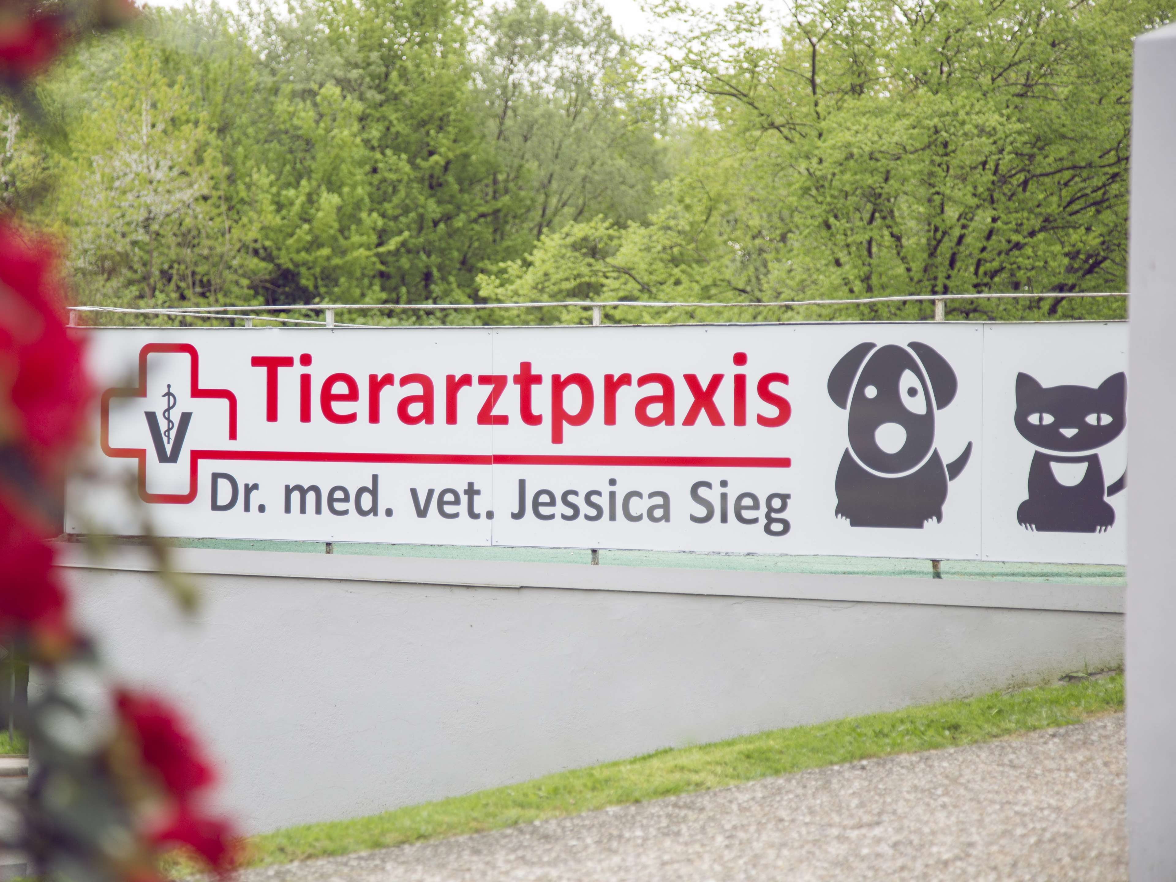 Ansicht 1 von Tierarztpraxis Dr. Jessica Sieg -Fachtierärztin für Kleintiere