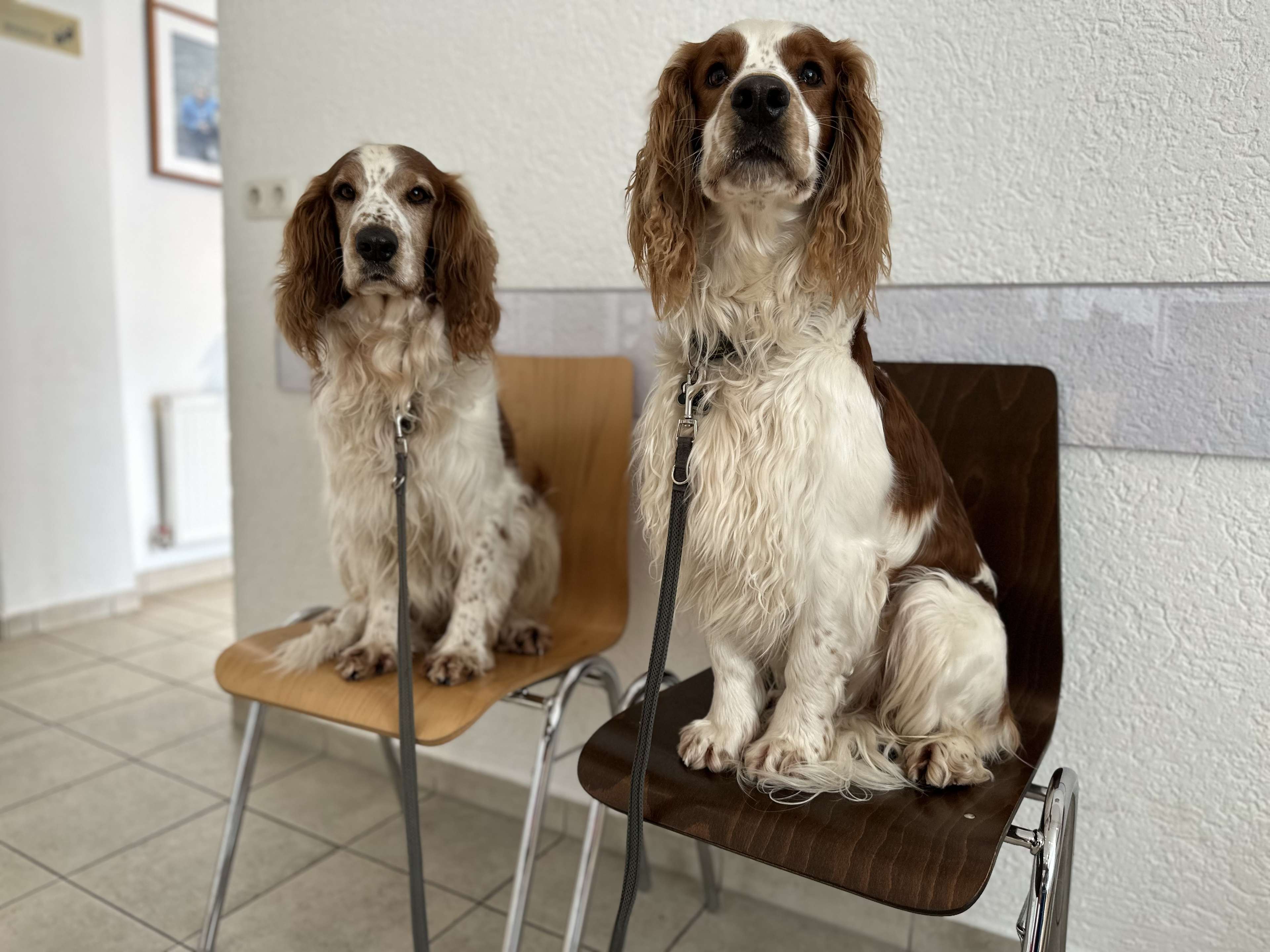 Ansicht 1 von Tierarztpraxis Dr. Roger Bour & Dr. Claudia Thiel-Bour