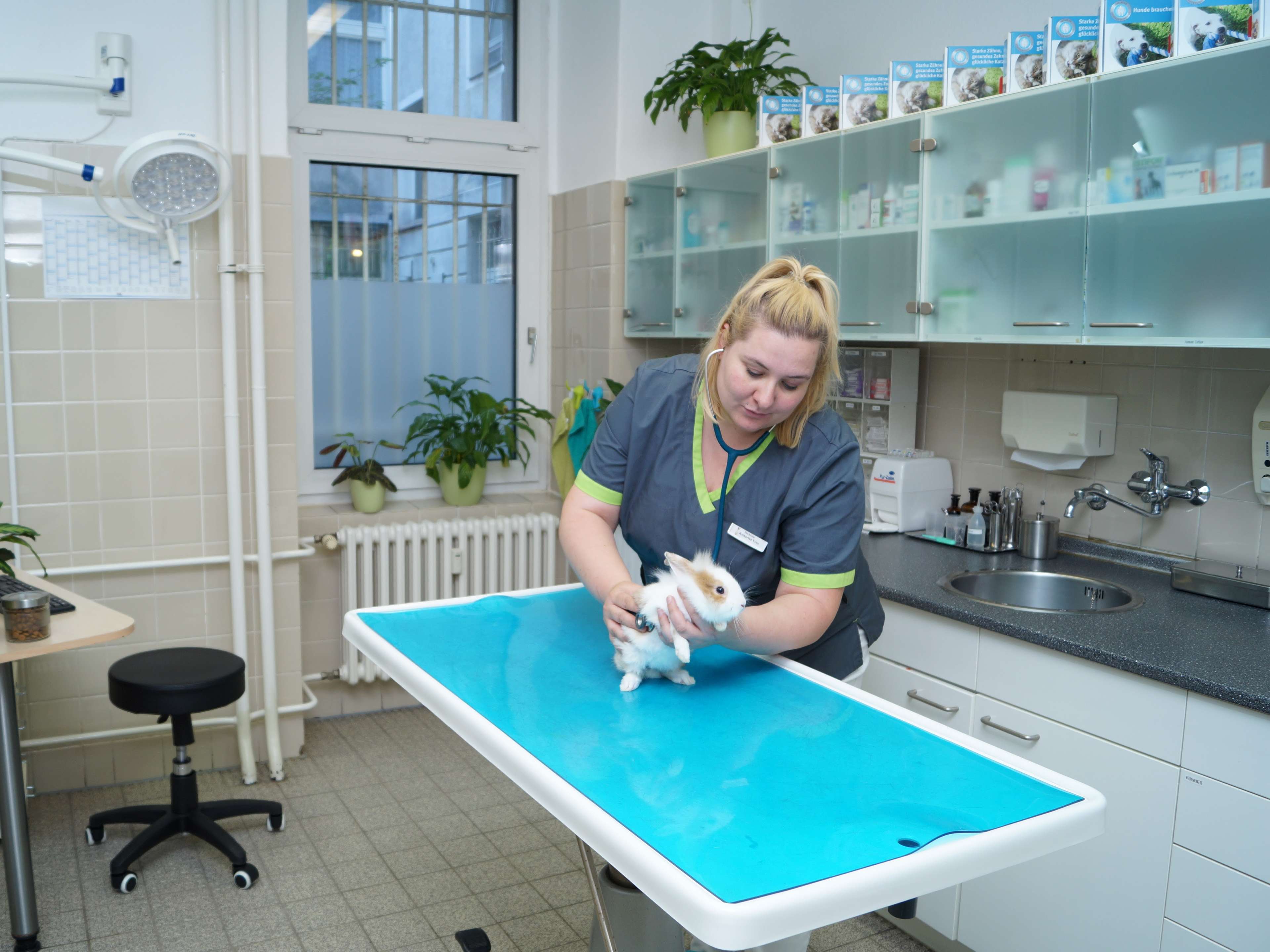Ansicht 5 von Dr.med.vet. Claudia Pastor Tierärztin