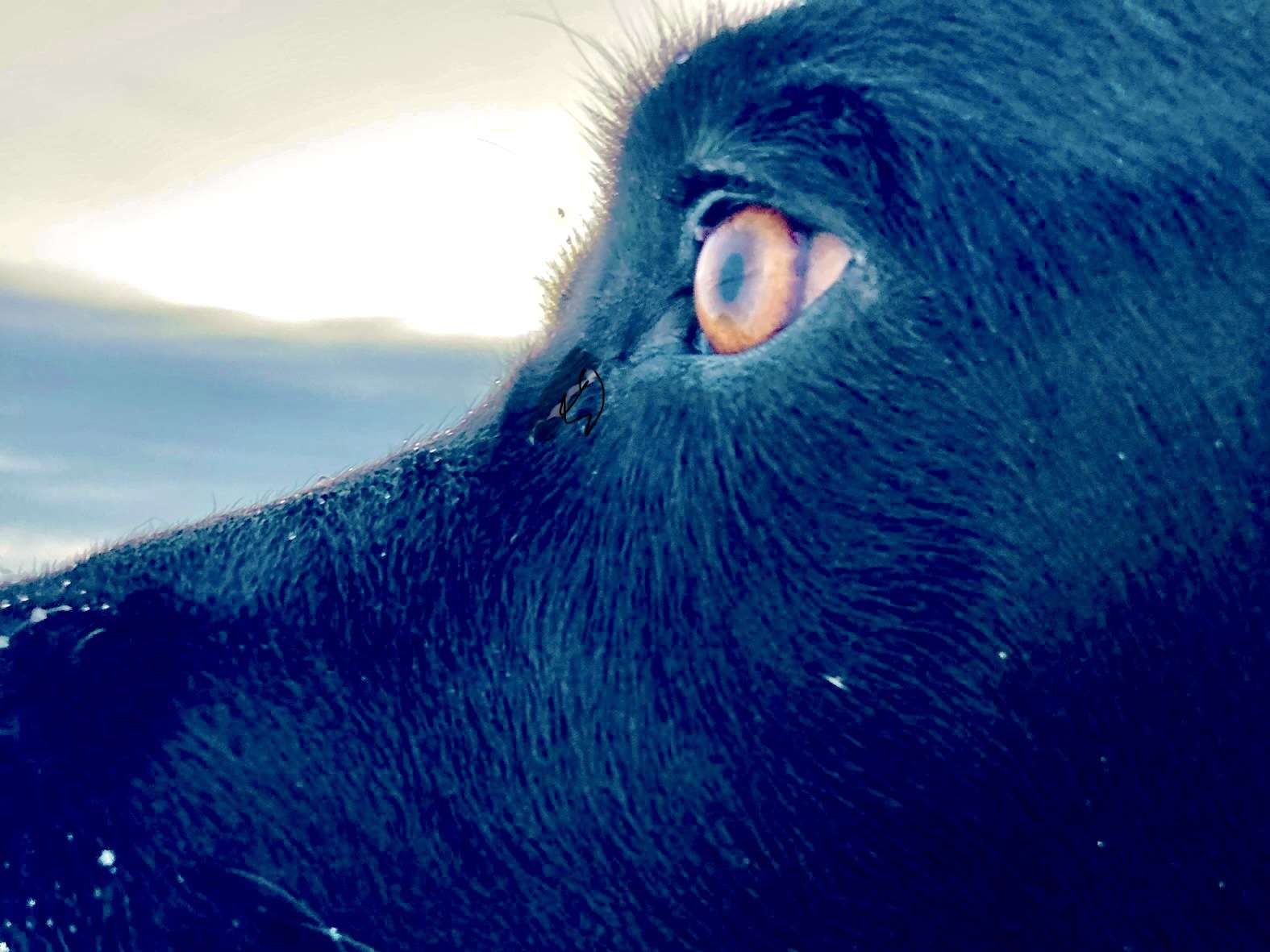 Ansicht 1 von Tierarztpraxis Heermann