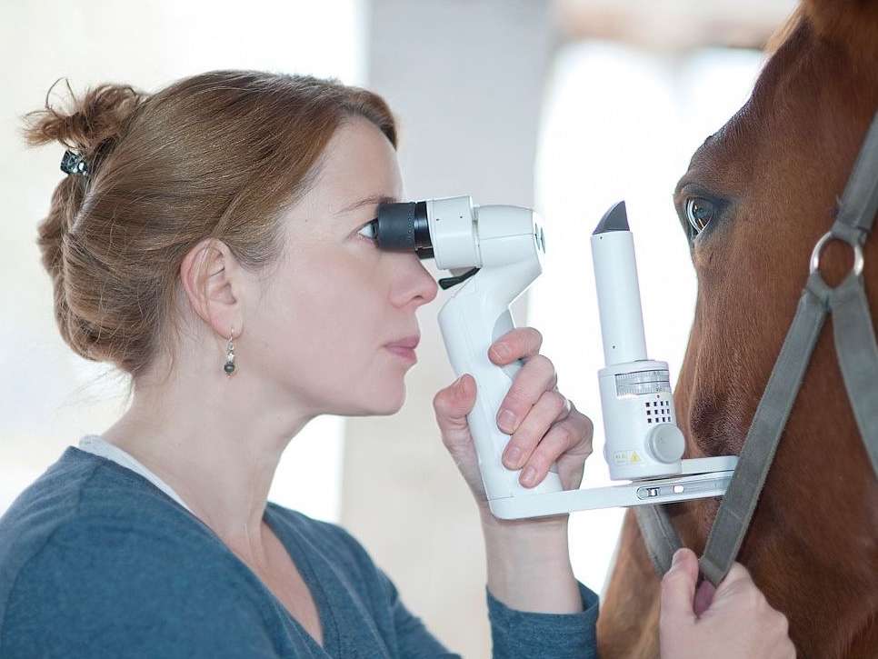 Ansicht 2 von Tierärztliche Praxis für Augenheilkunde