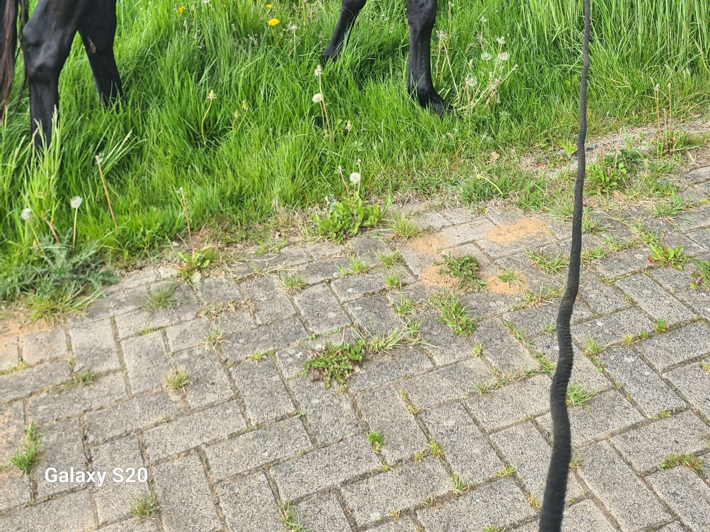 Ansicht 1 von Tierärztliche Praxis Dietmar Helms