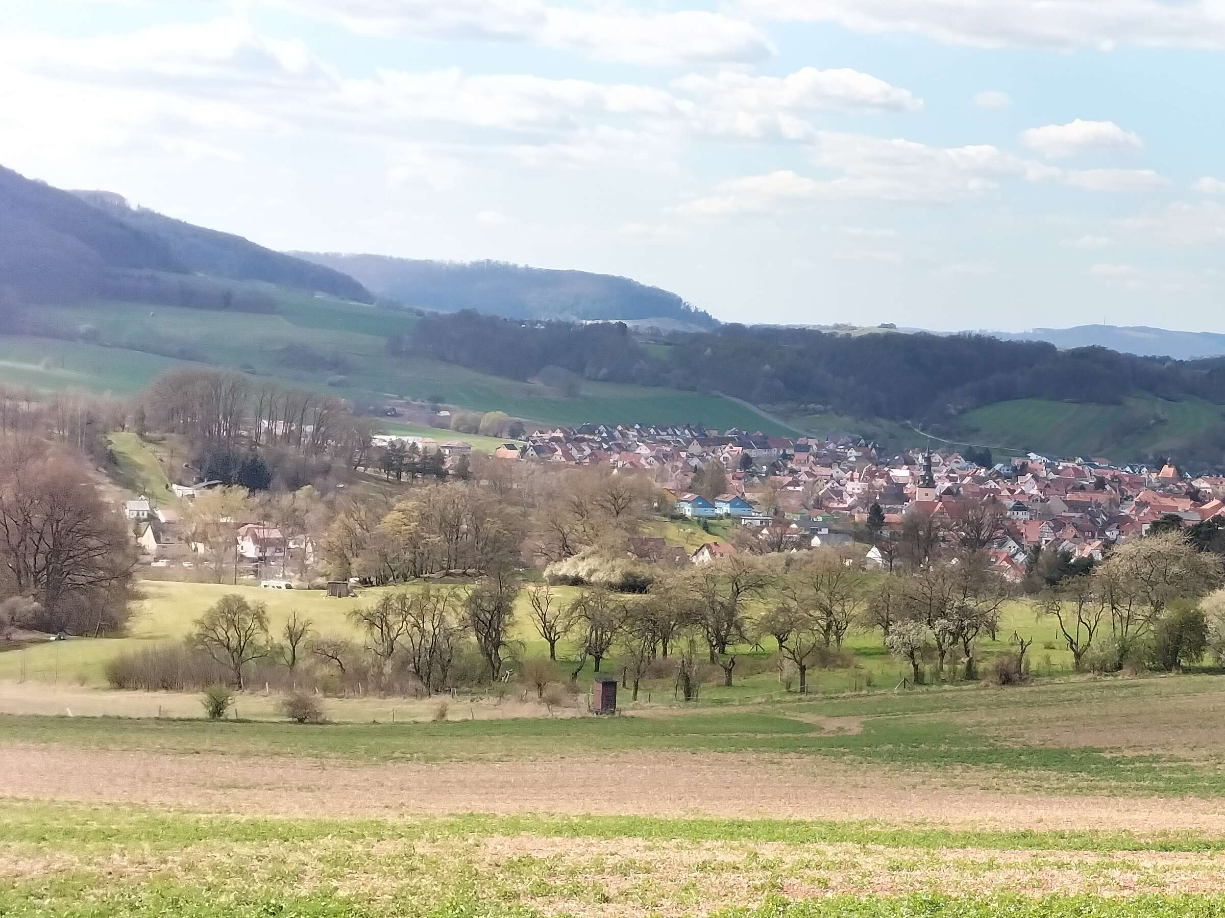 Ansicht 2 von Tierarztpraxis Helga Wehr