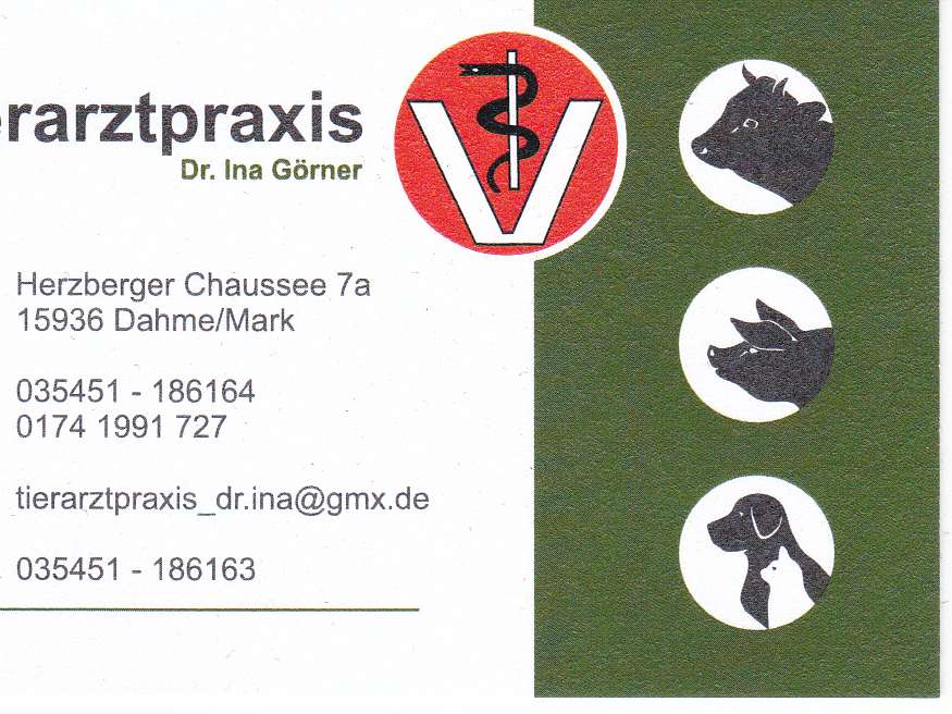 Ansicht 5 von Tierarztpraxis Dr. Ina Görner