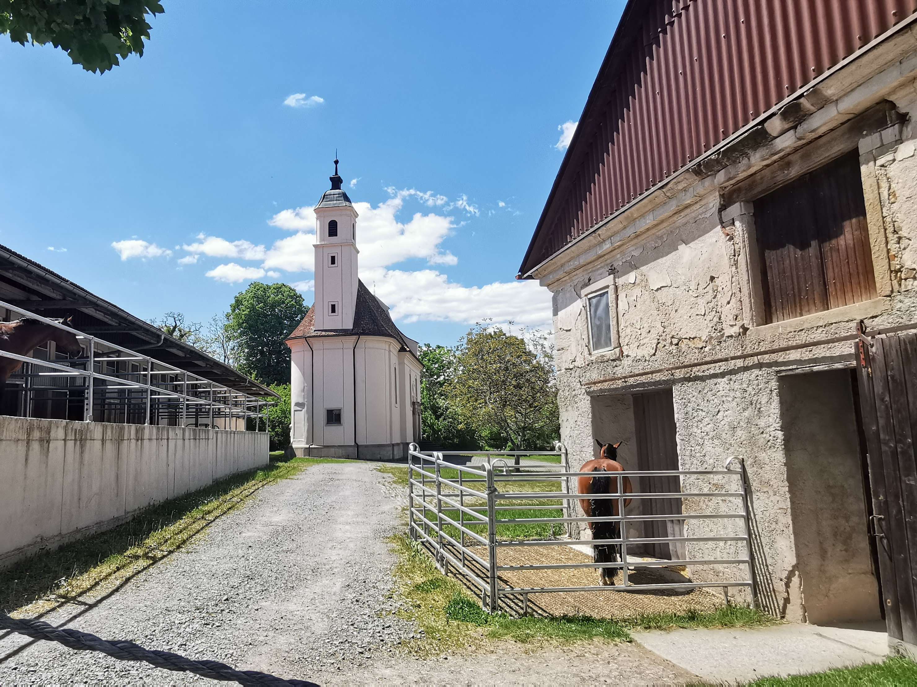 Ansicht 3 von Pferde- und Kleintierpraxis DomÀne Ammerhof