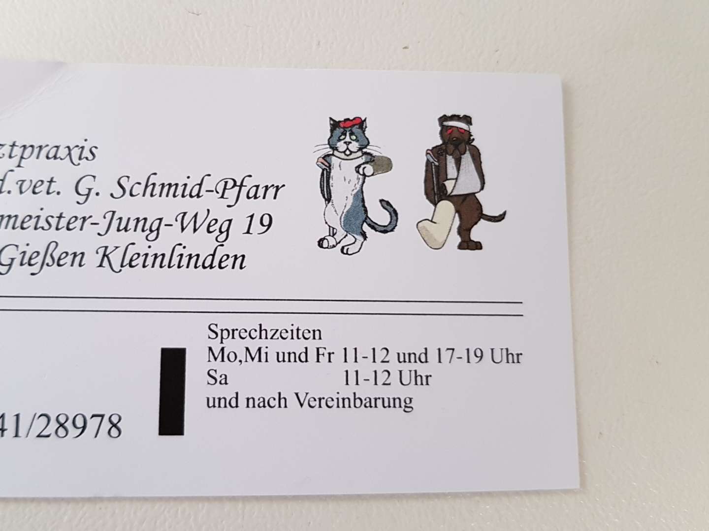 Ansicht 4 von Dr Gabriele Schmid-Pfarr Tierärztin