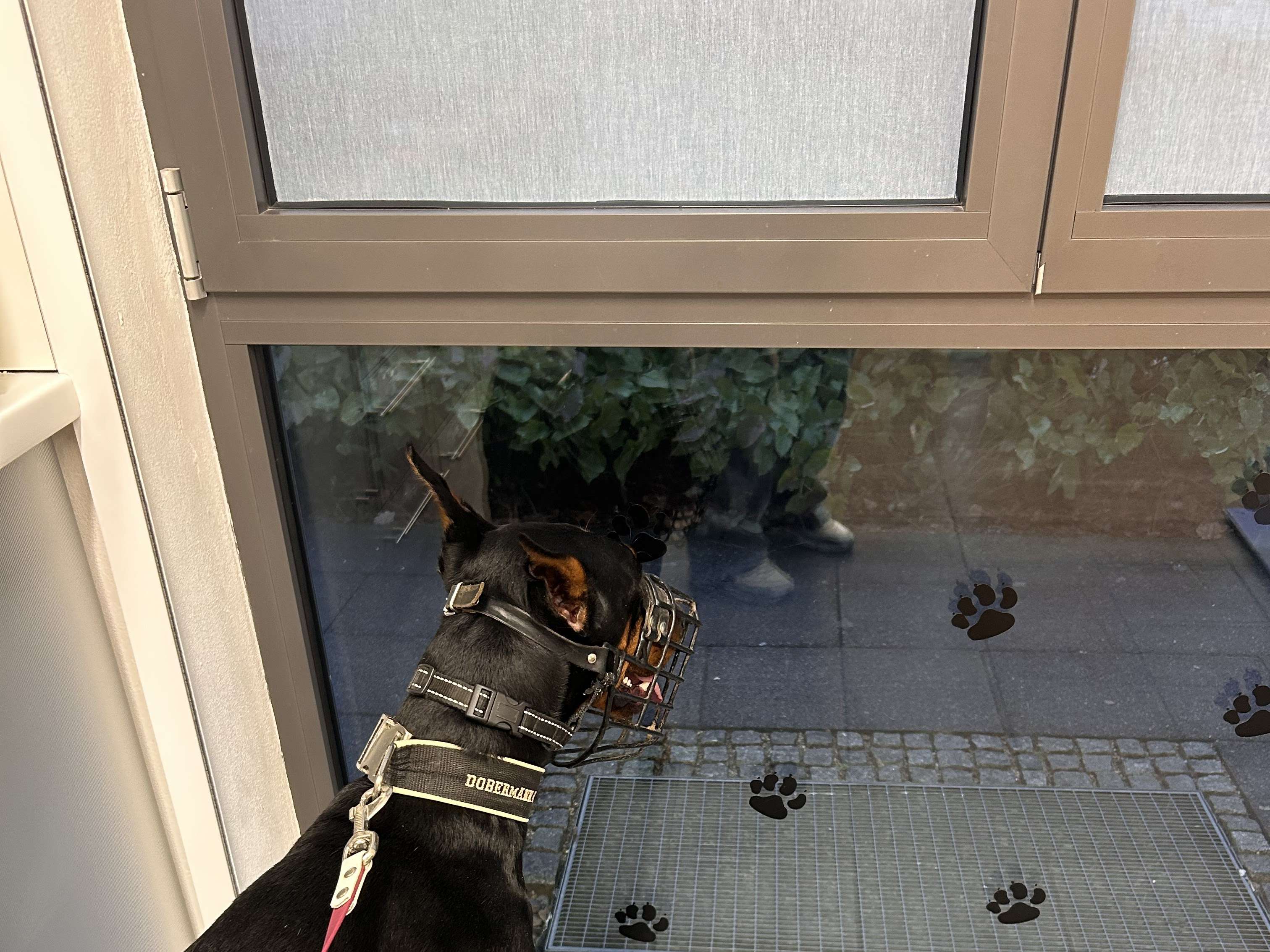 Ansicht 2 von Tierärzte Pfaffenhausen