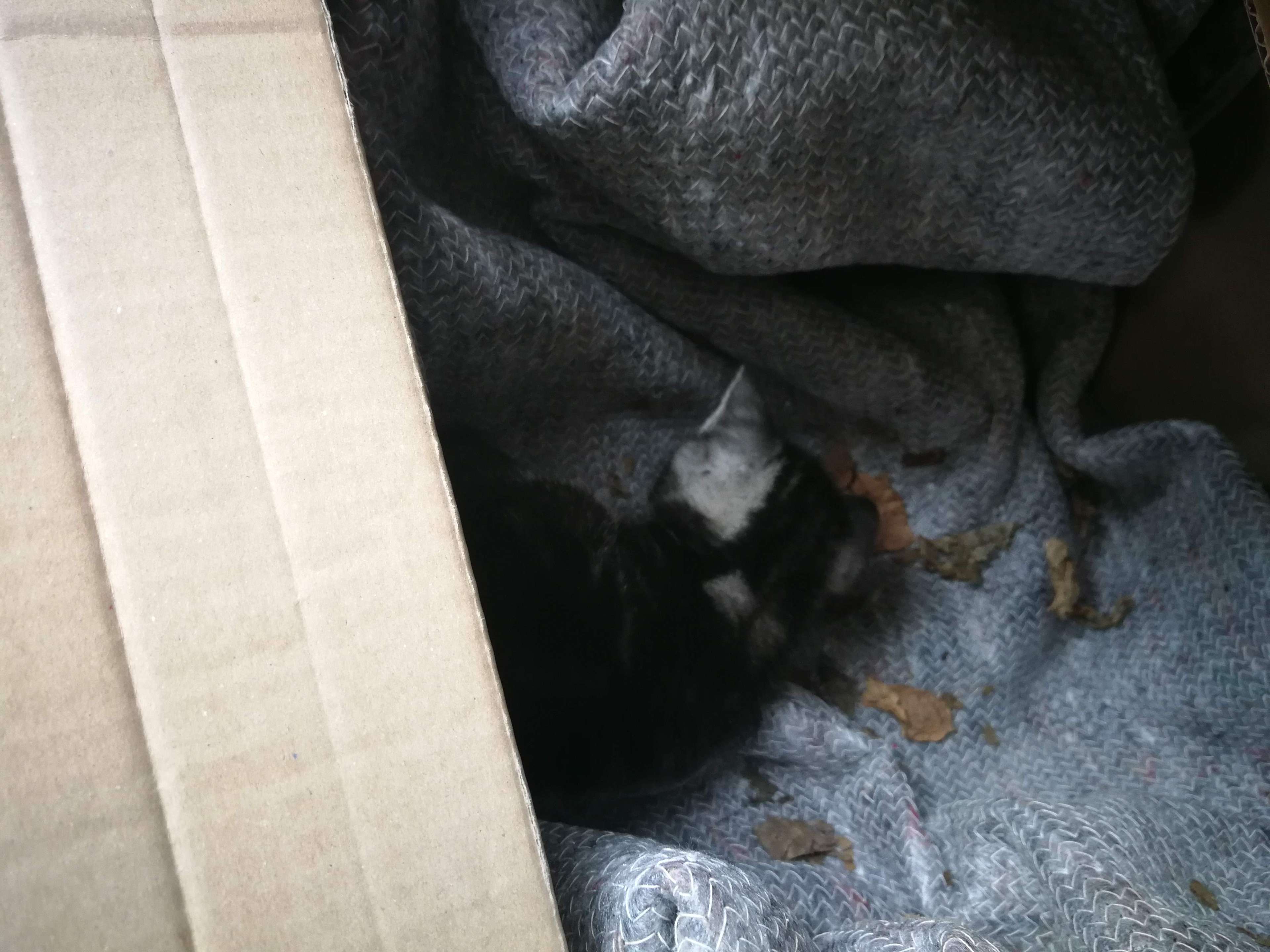 Ansicht 3 von Tierärzte Pfaffenhausen