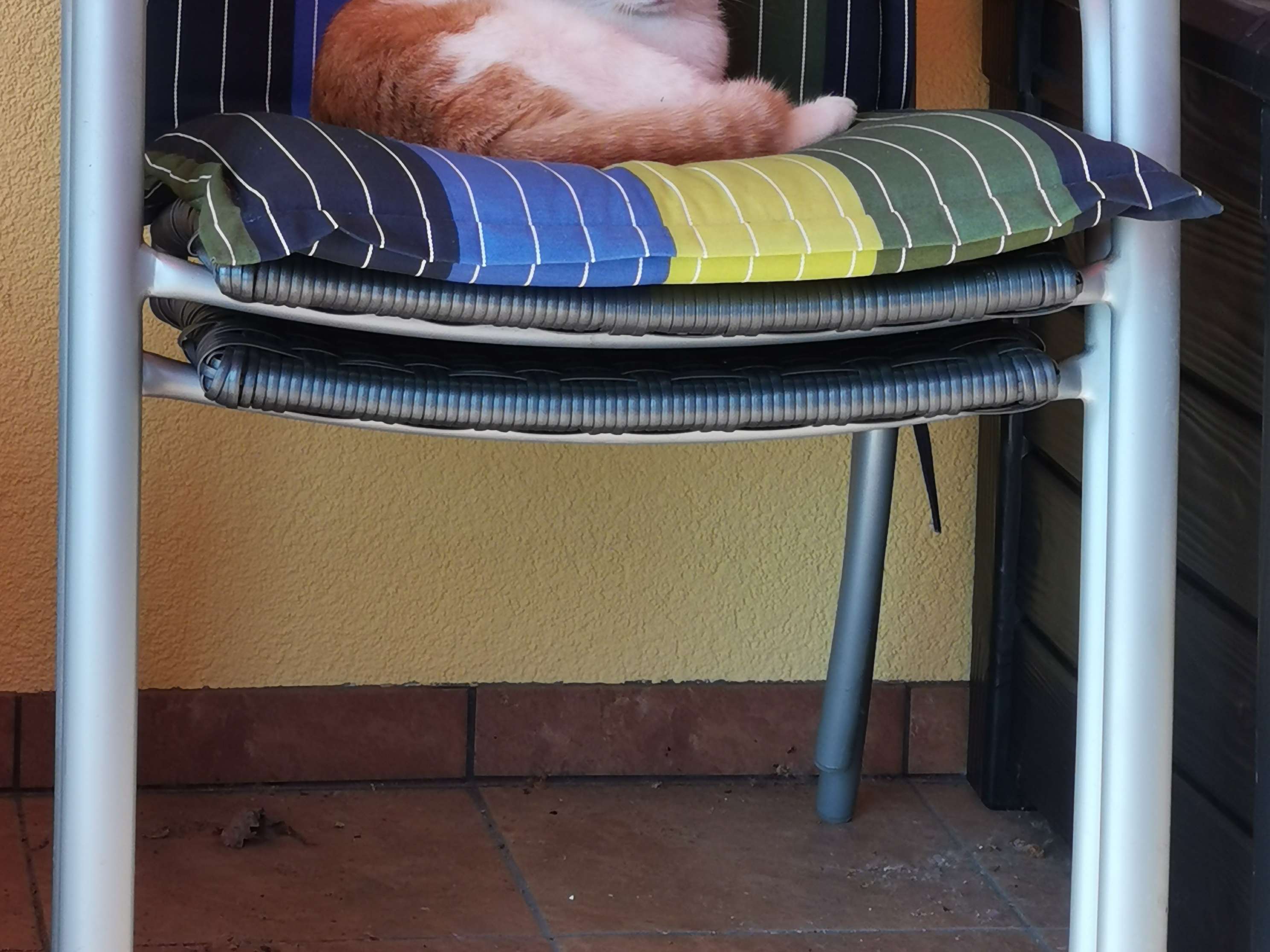Ansicht 4 von Hans-Jürgen Tietze Tierarzt