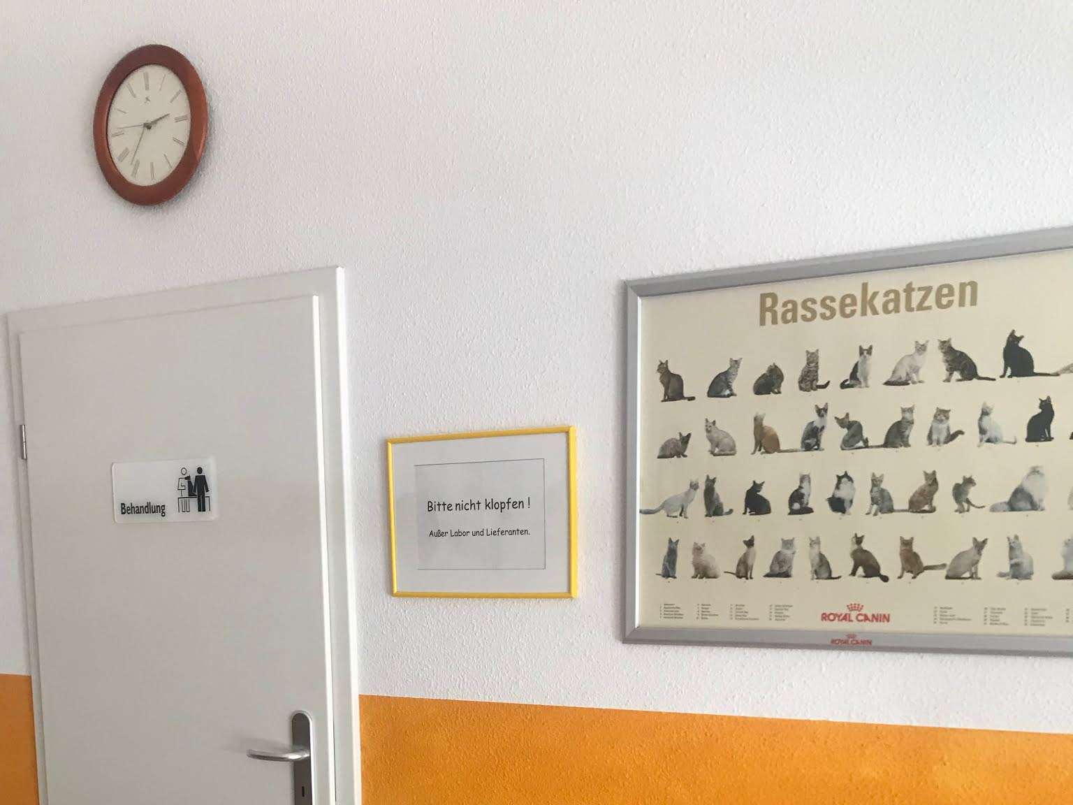 Ansicht 5 von Tierarztpraxis am Wasserturm