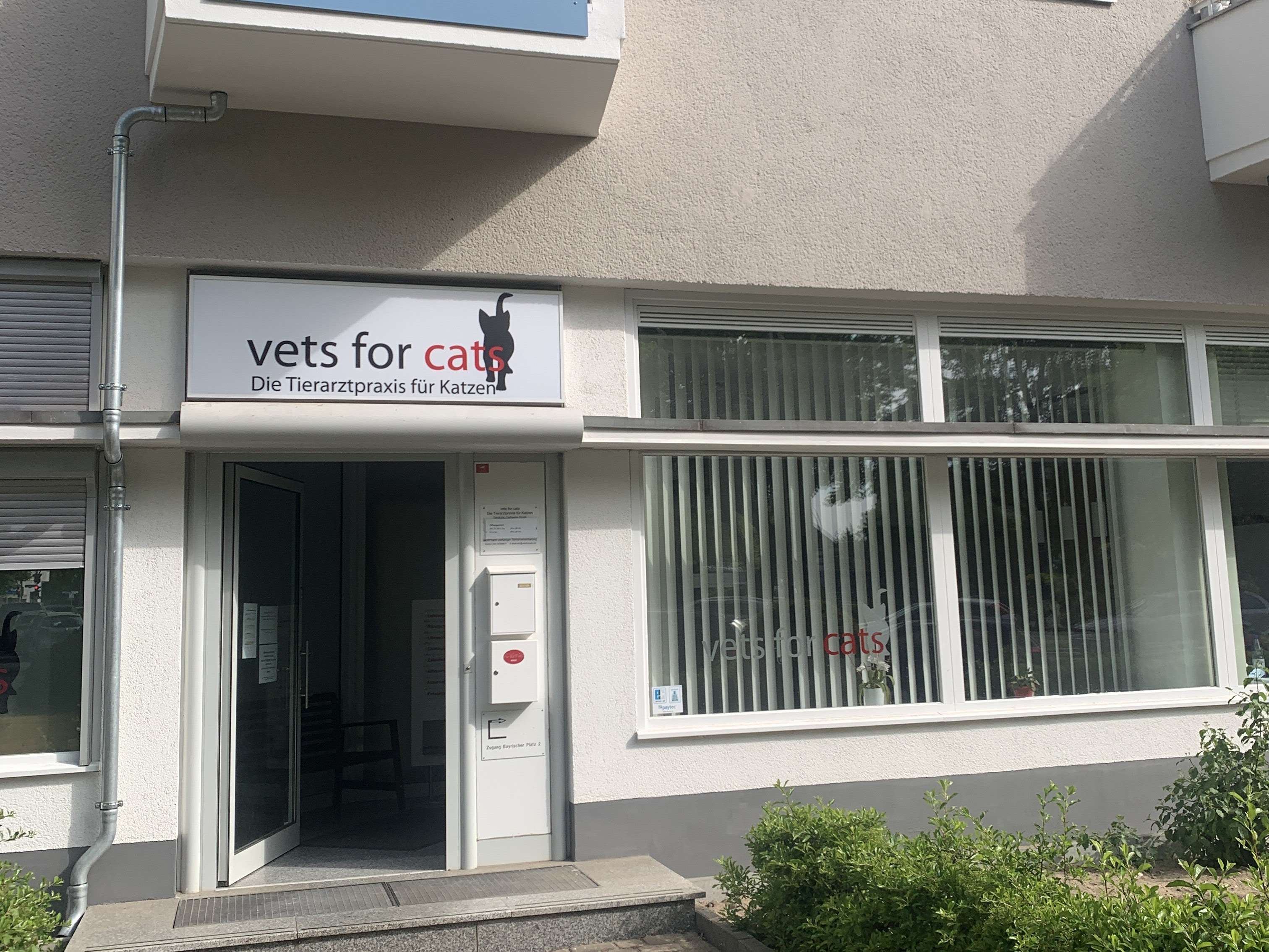 Ansicht 4 von Tierarzt Berlin, vets for cats Berlin - Tierarztpraxis für Katzen